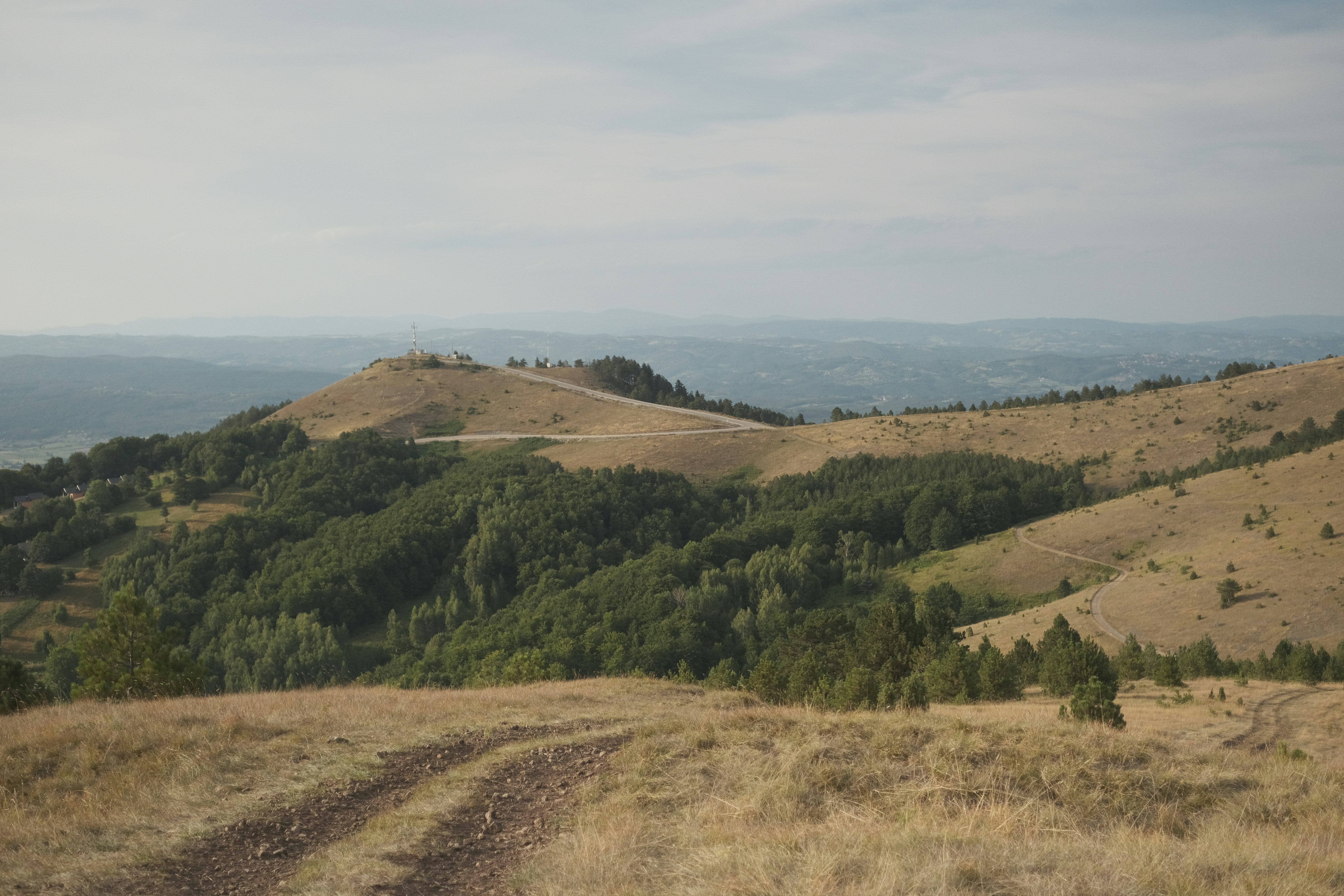 Photo by antonshutnik