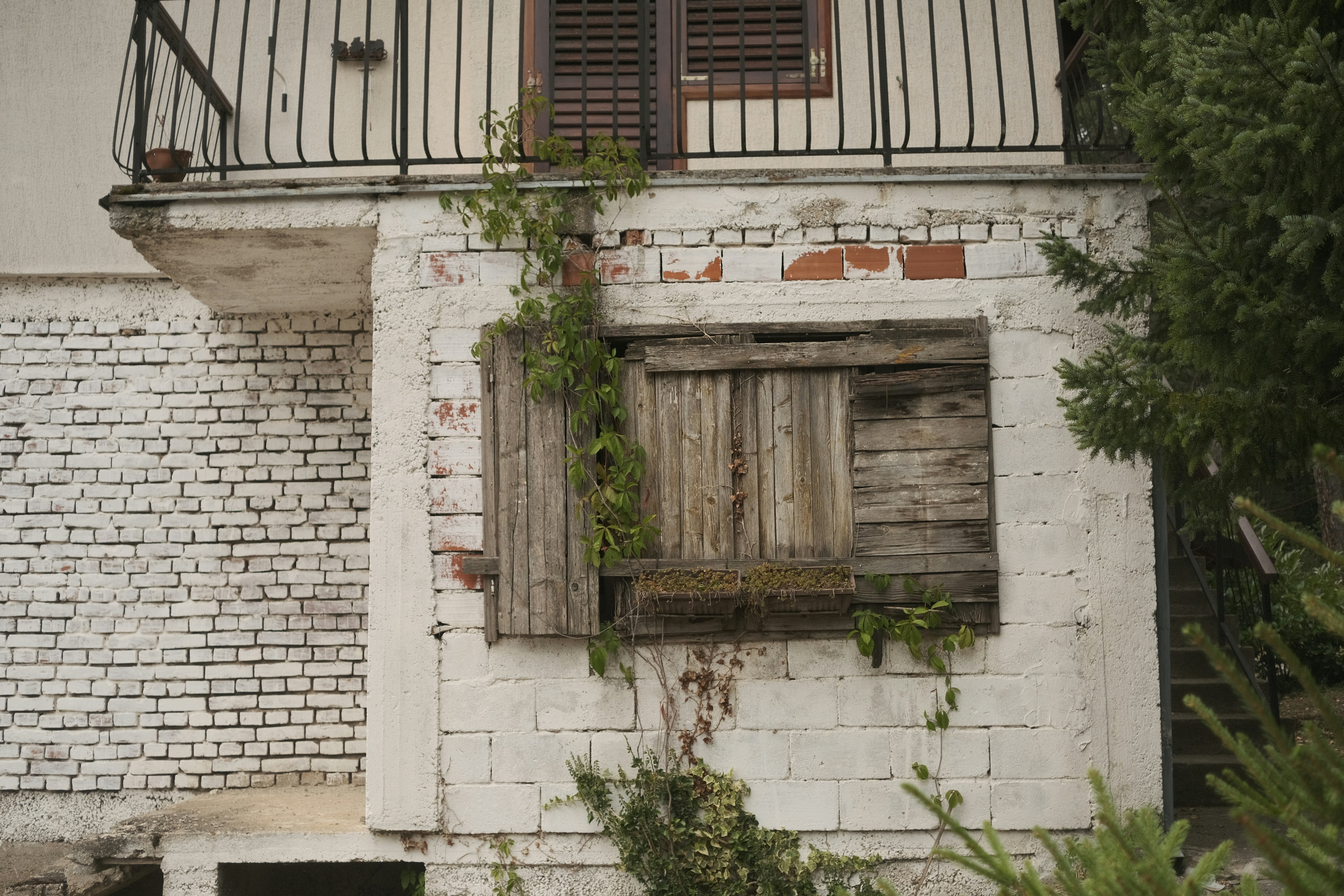 Photo by antonshutnik