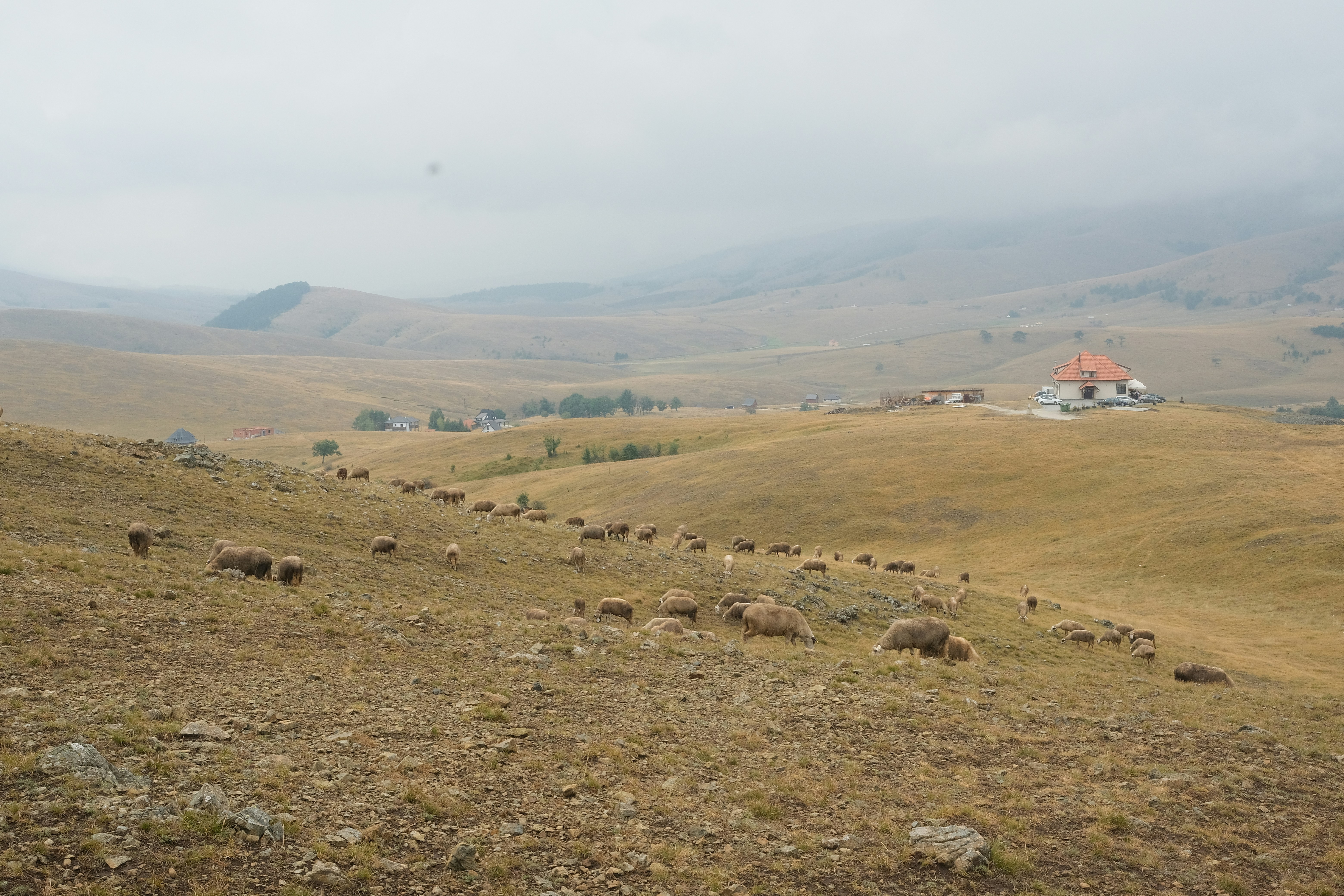 Photo by antonshutnik