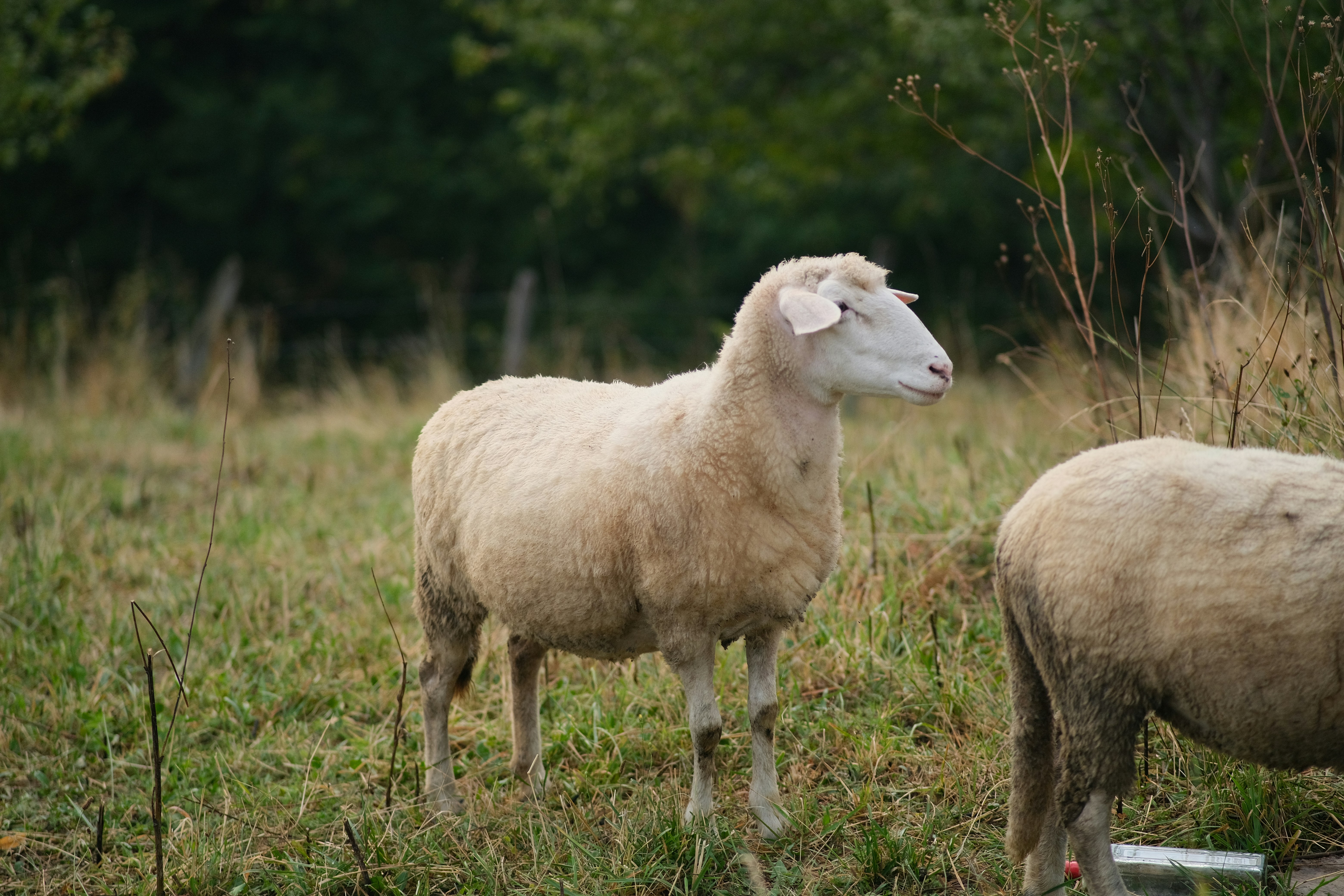 Photo by antonshutnik