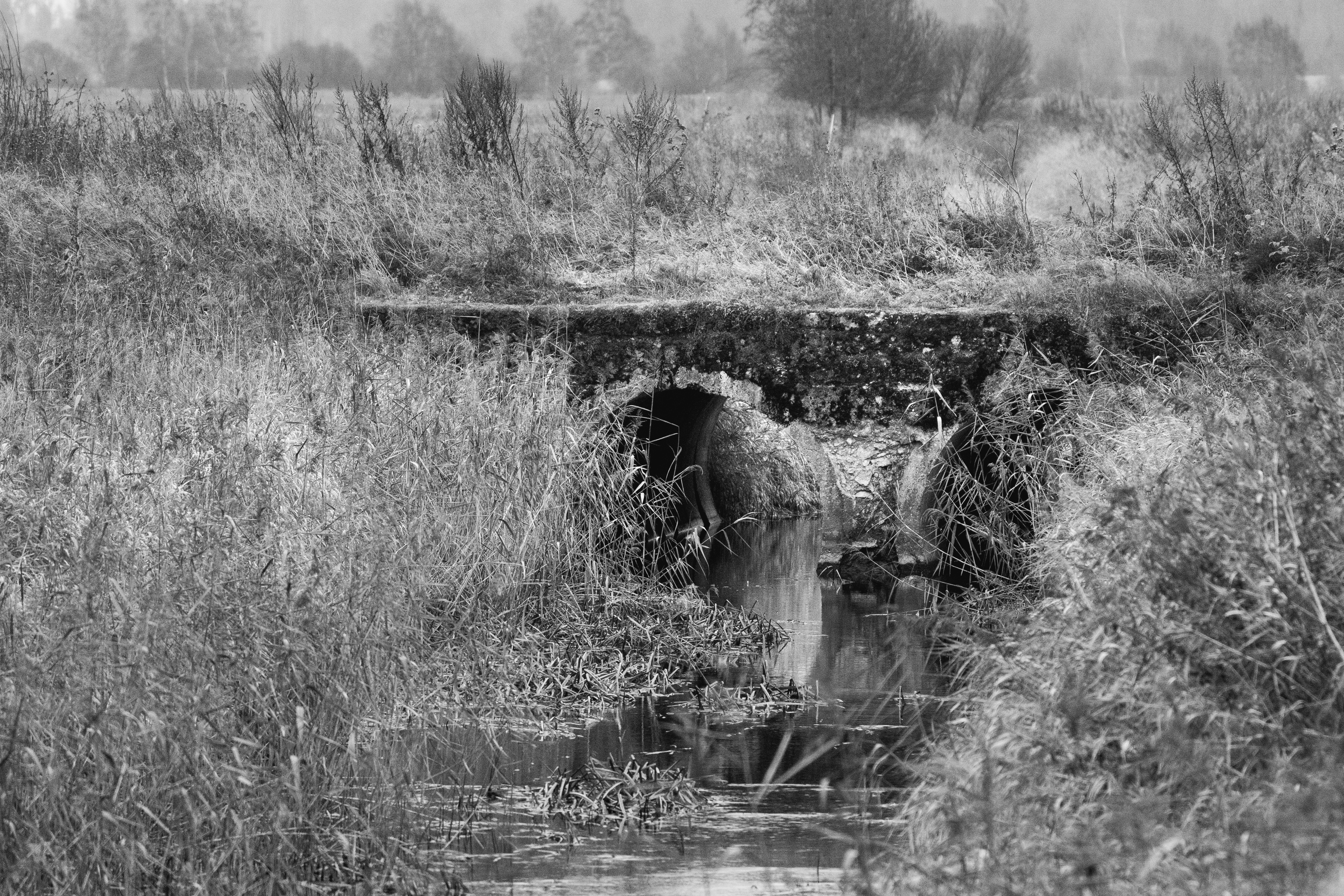 Photo by andruslukas