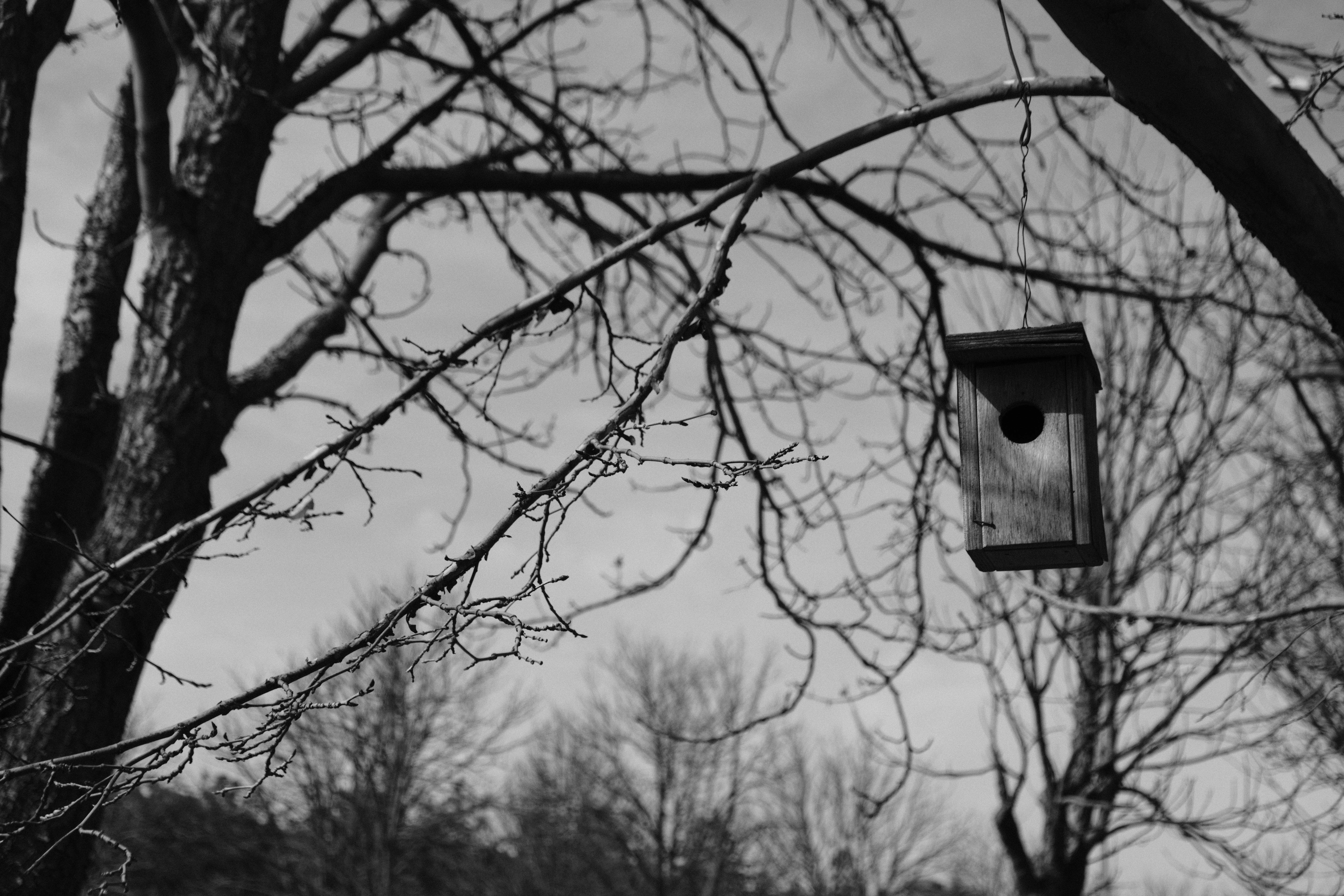 Photo by ismailefetop