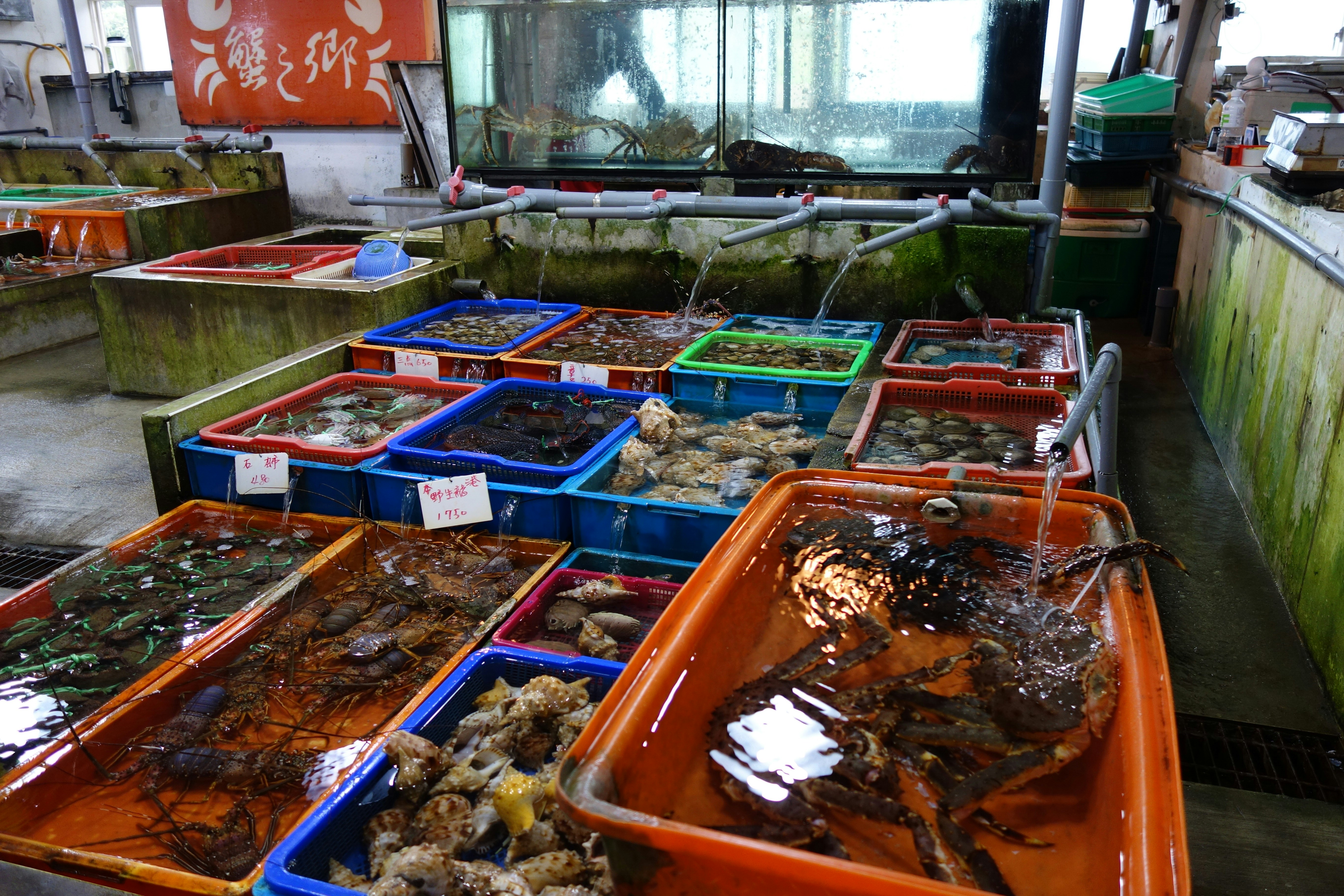 Live seafood is displayed in various containers
