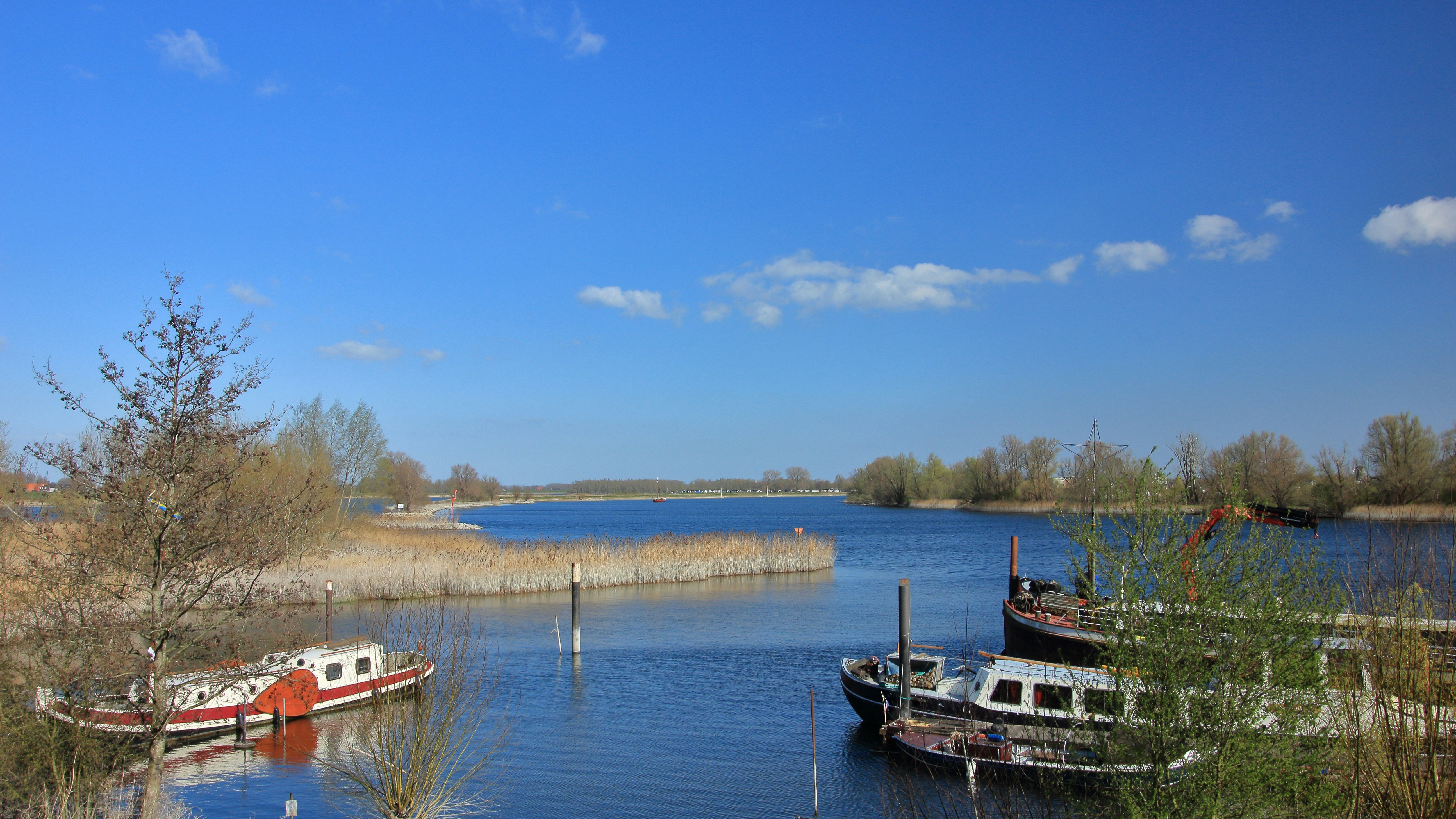 Photo by a_photo_by_lex