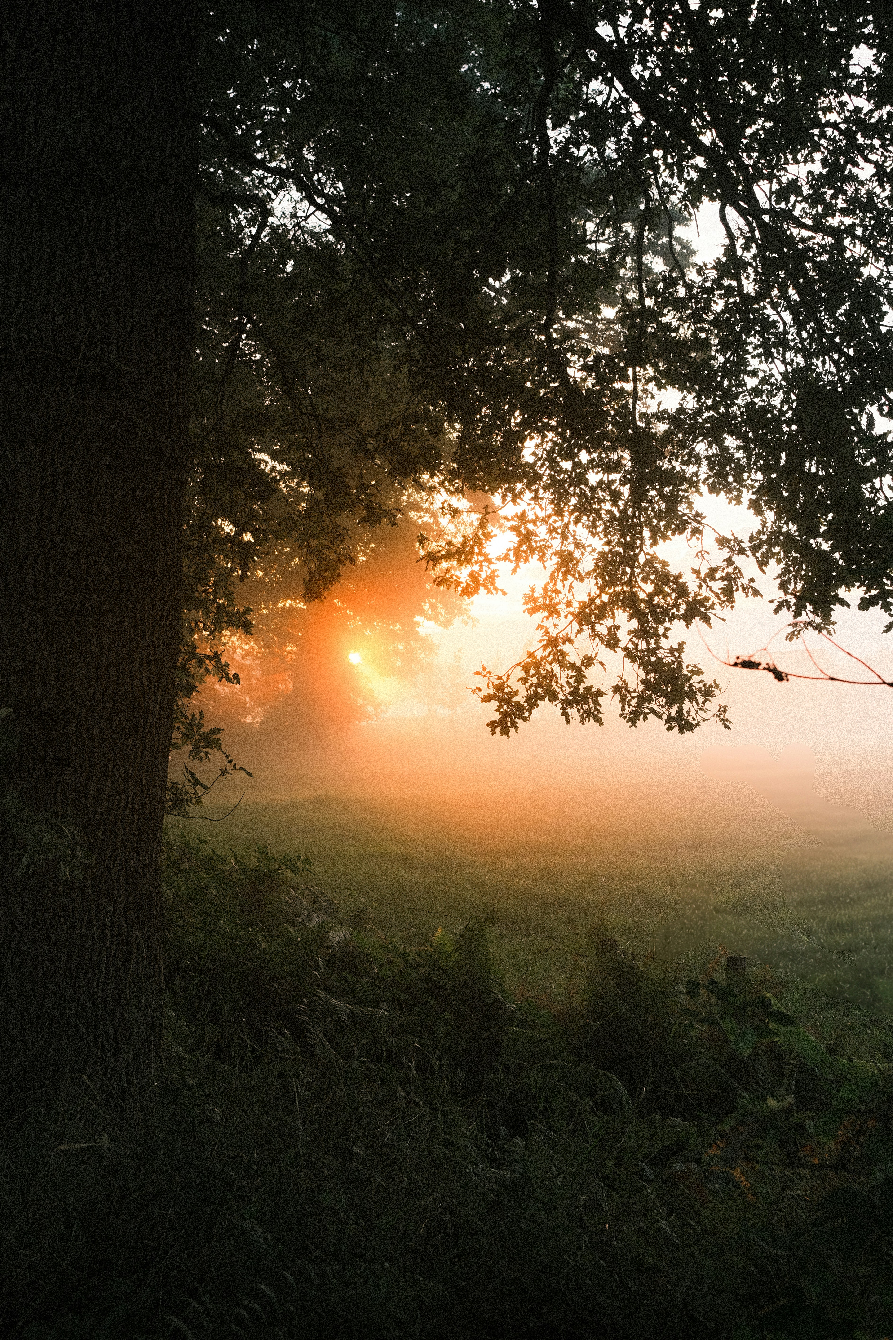 Photo by visualsbying
