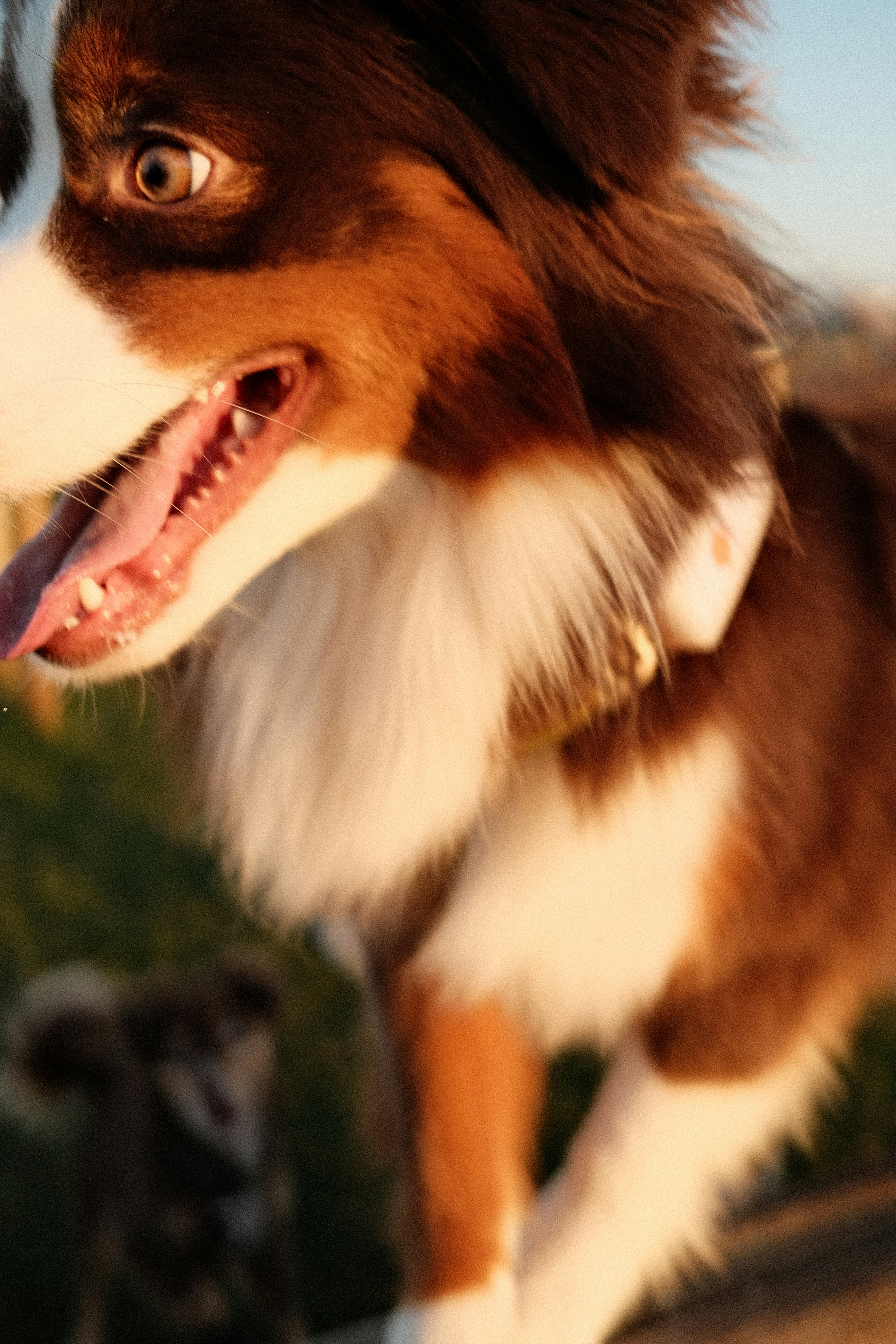 Photo by valentinlacoste