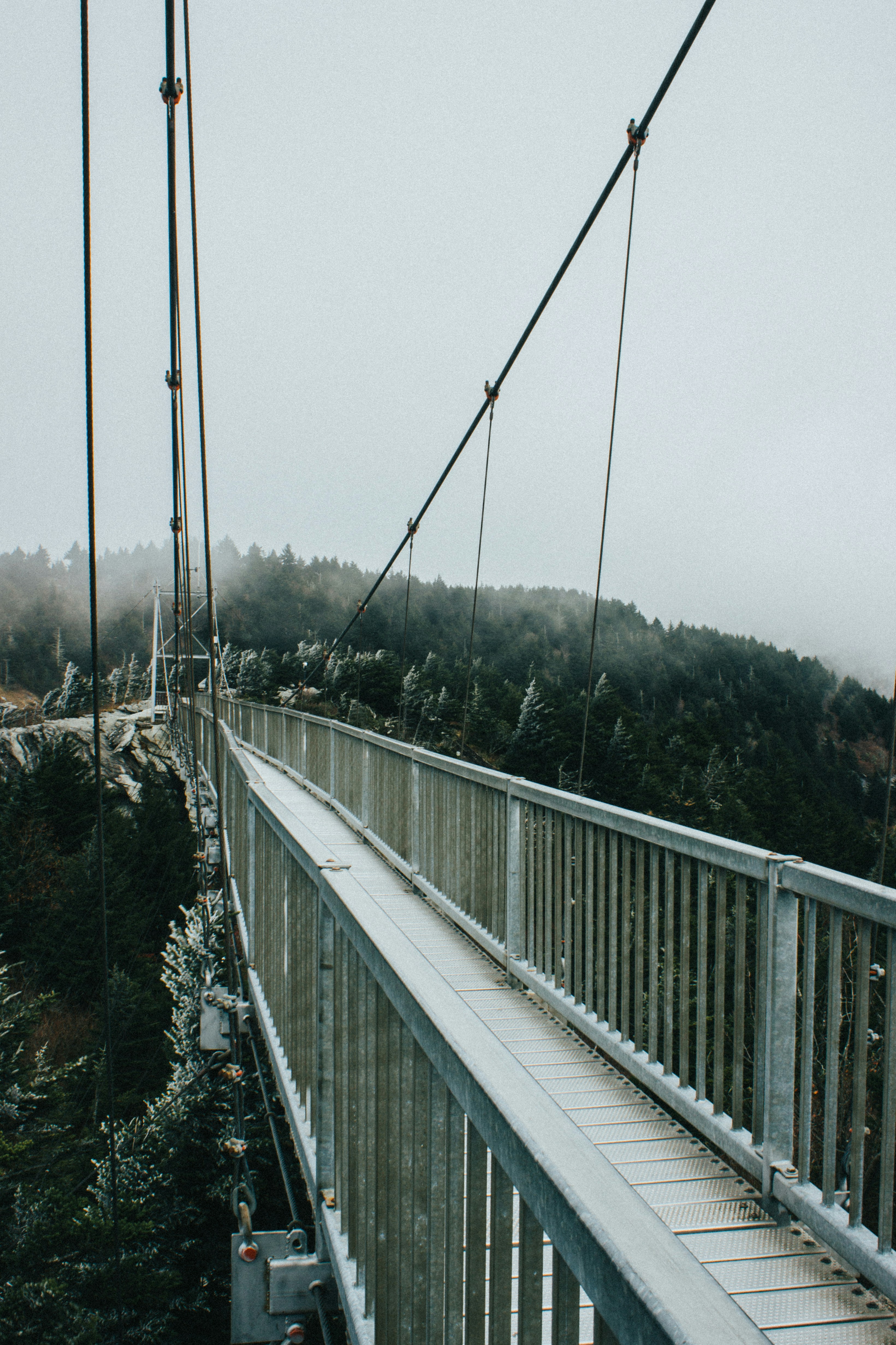 Photo by stephenmarshall