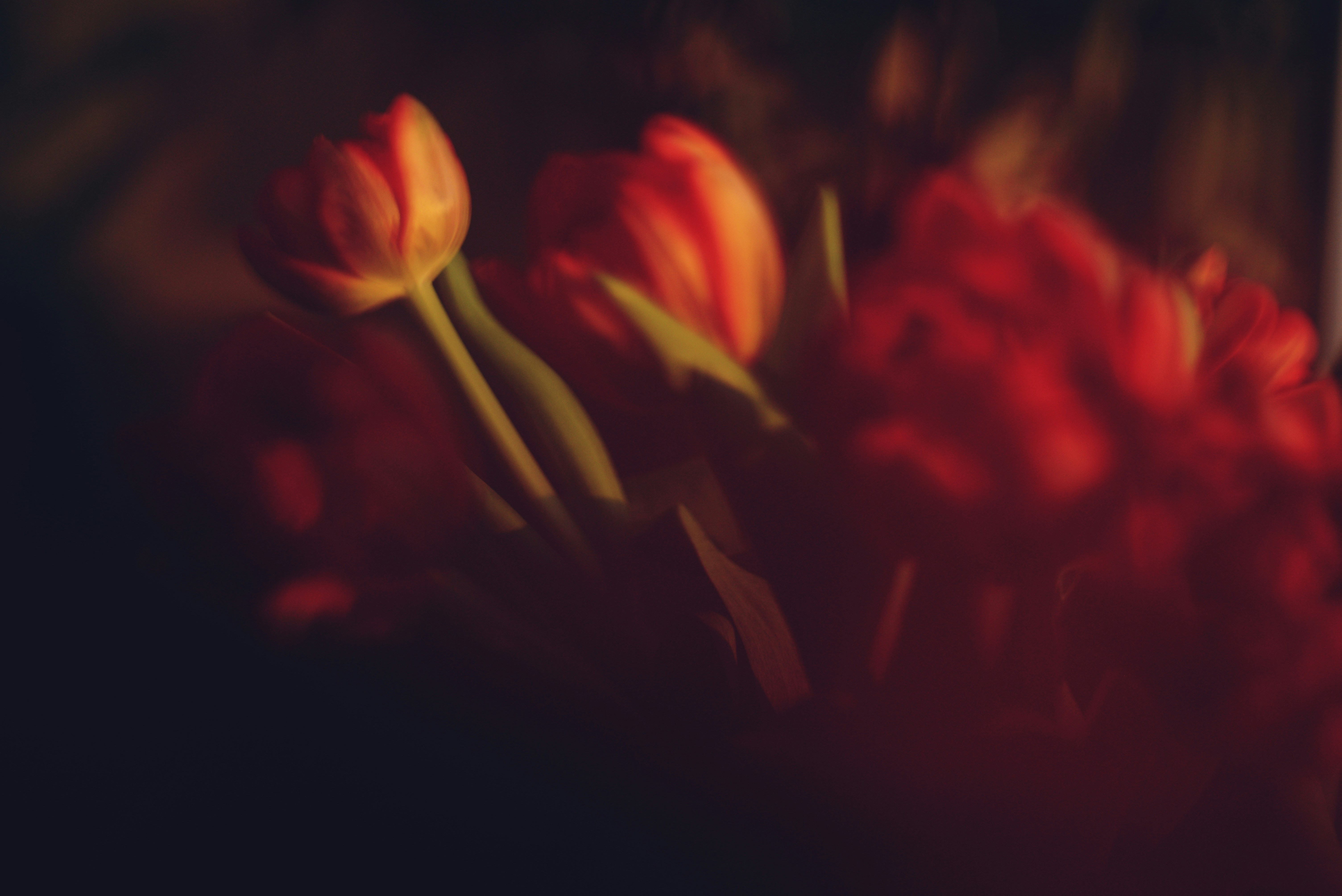 Photo by cherstve_pechivo