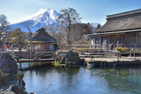 Mount fuji overlooks traditional japanese houses and a pond.