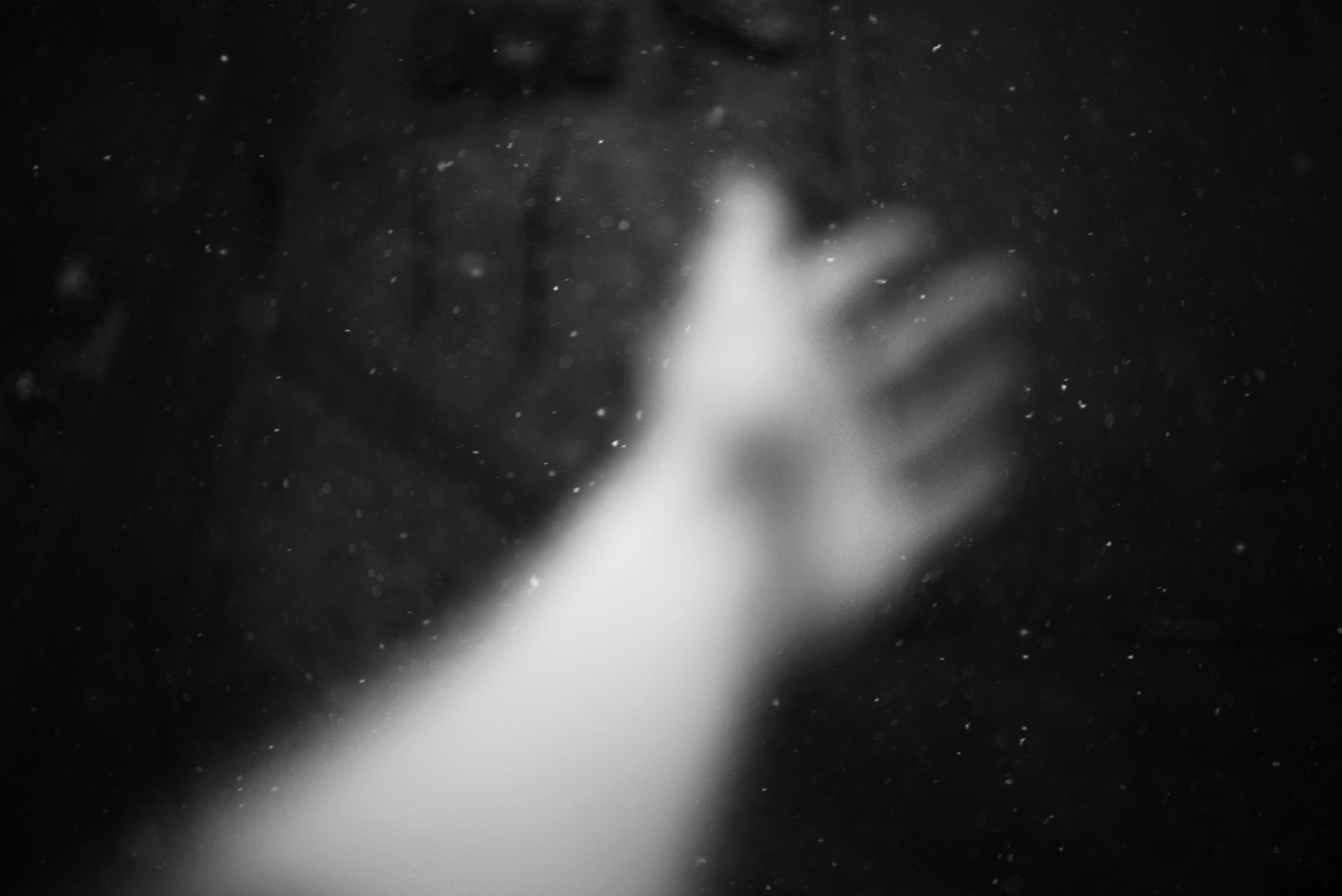 Photo by cherstve_pechivo