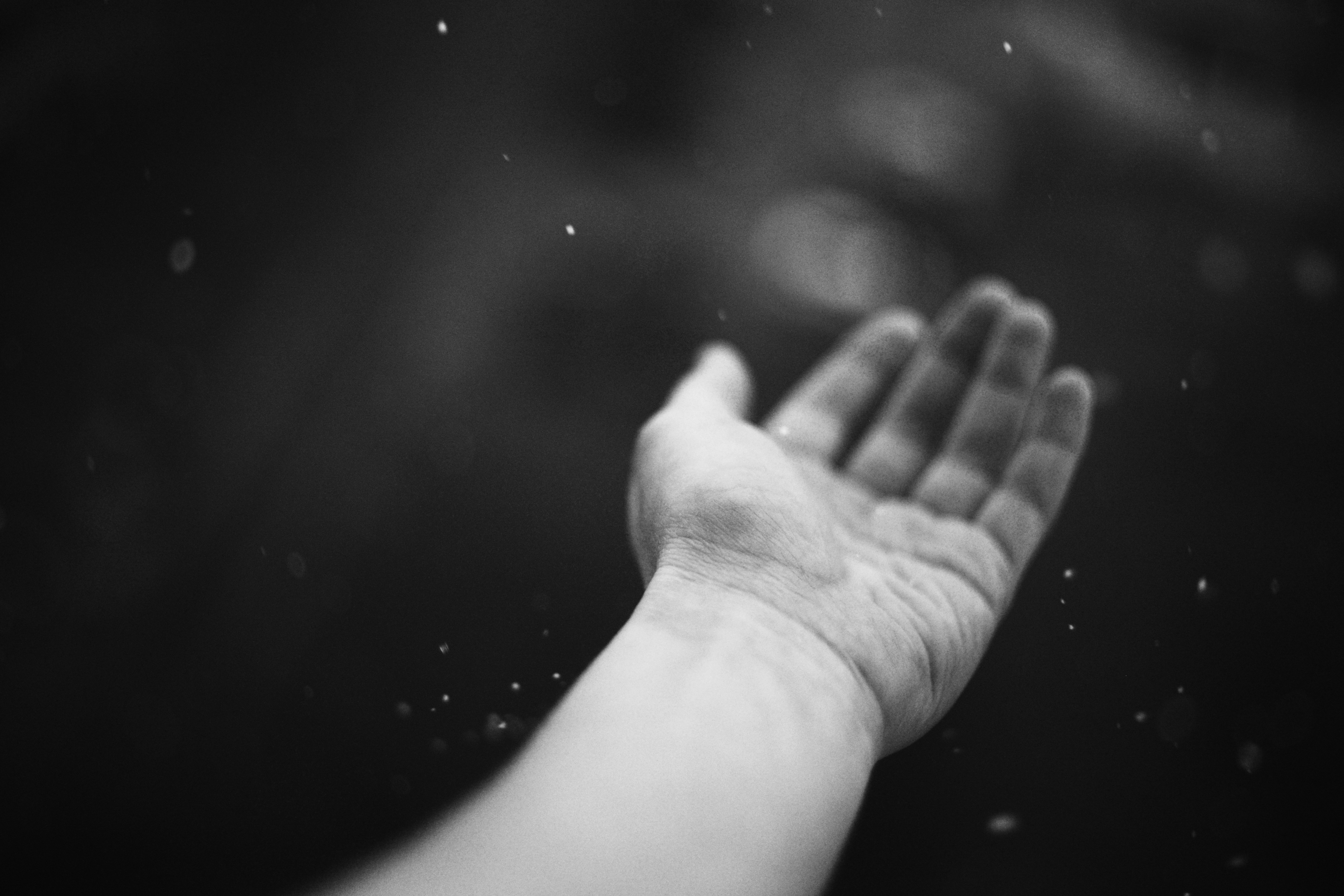 Photo by cherstve_pechivo