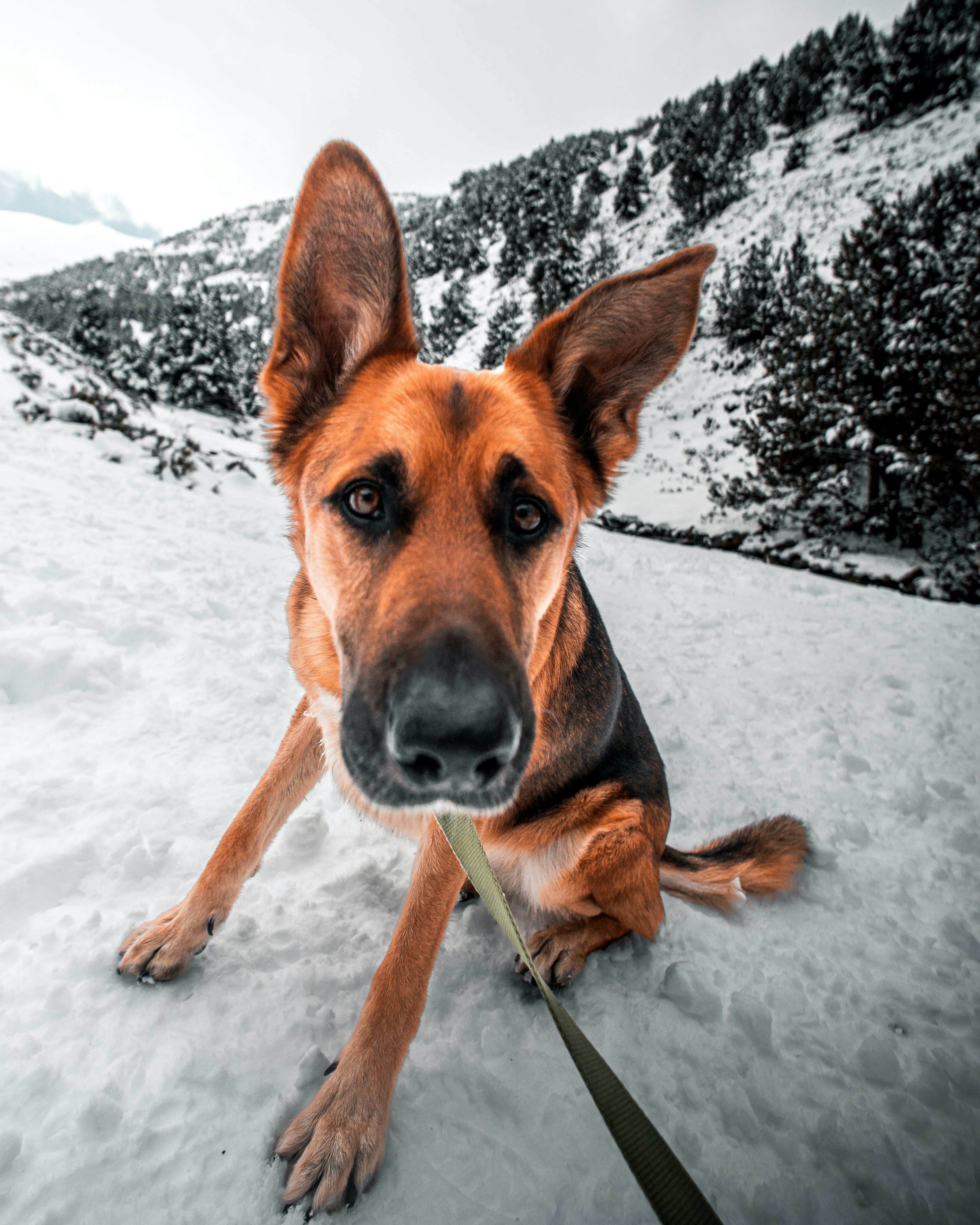 Photo by willgonzalez9