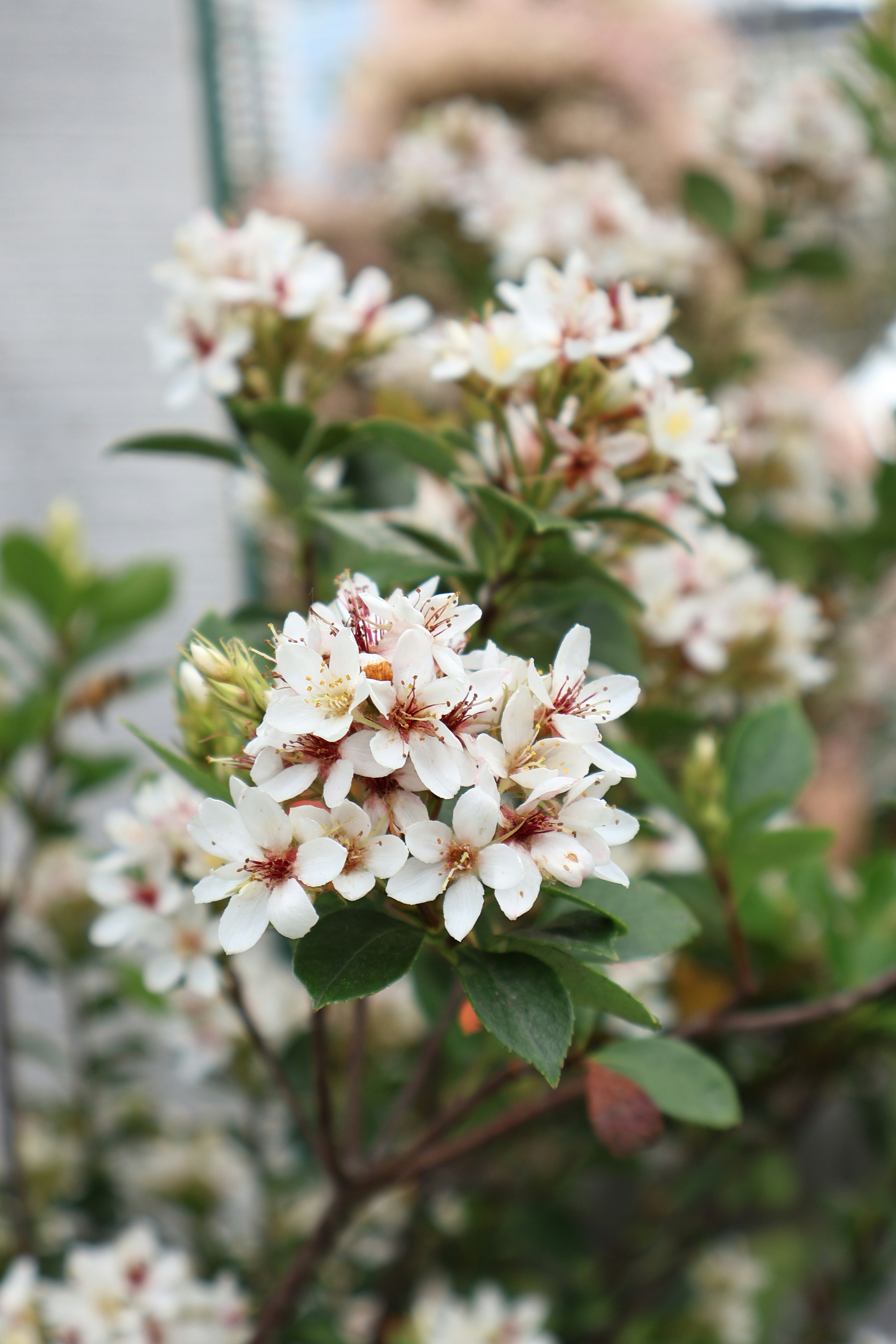 Photo by vickeekiwiwow