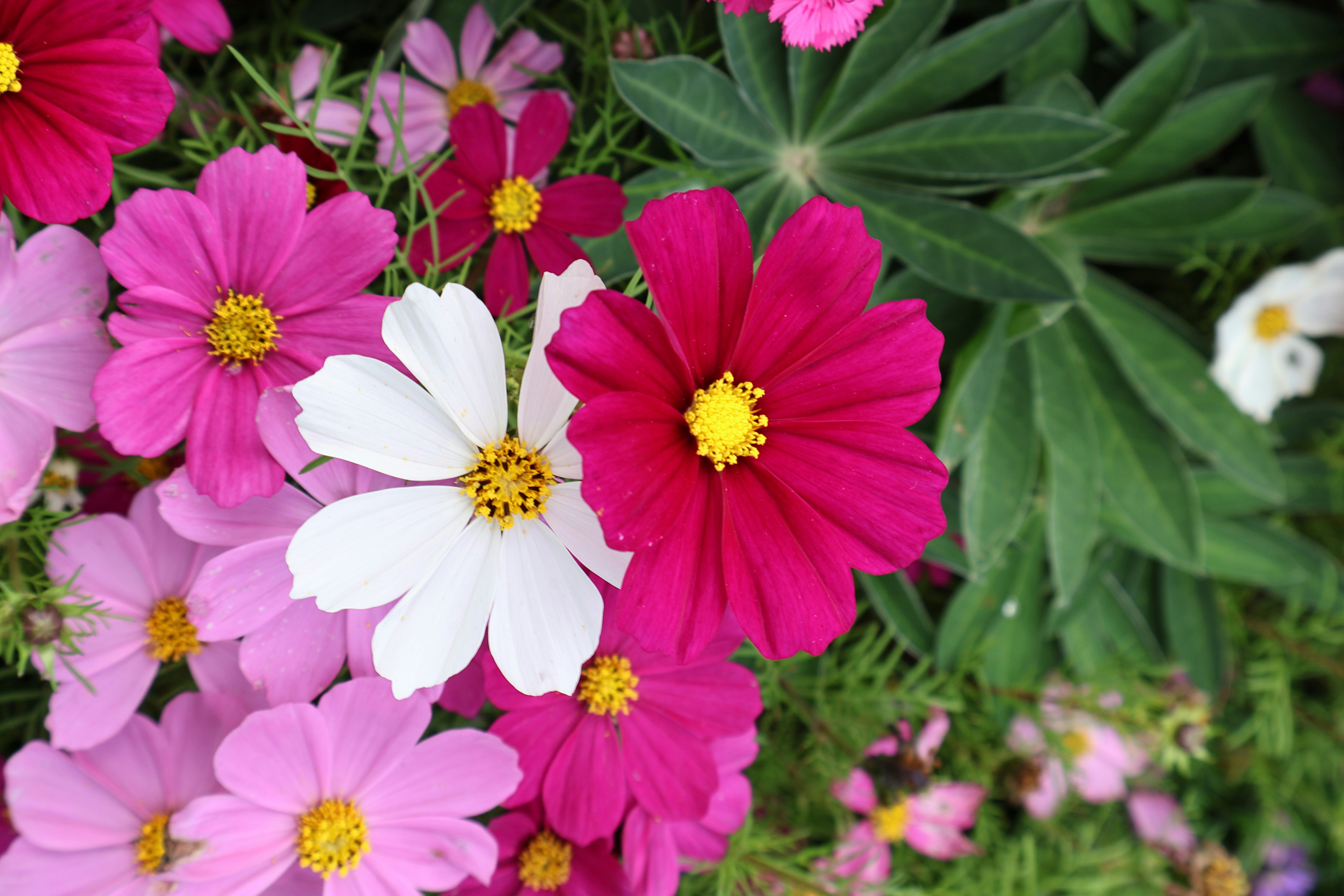 Photo by vickeekiwiwow