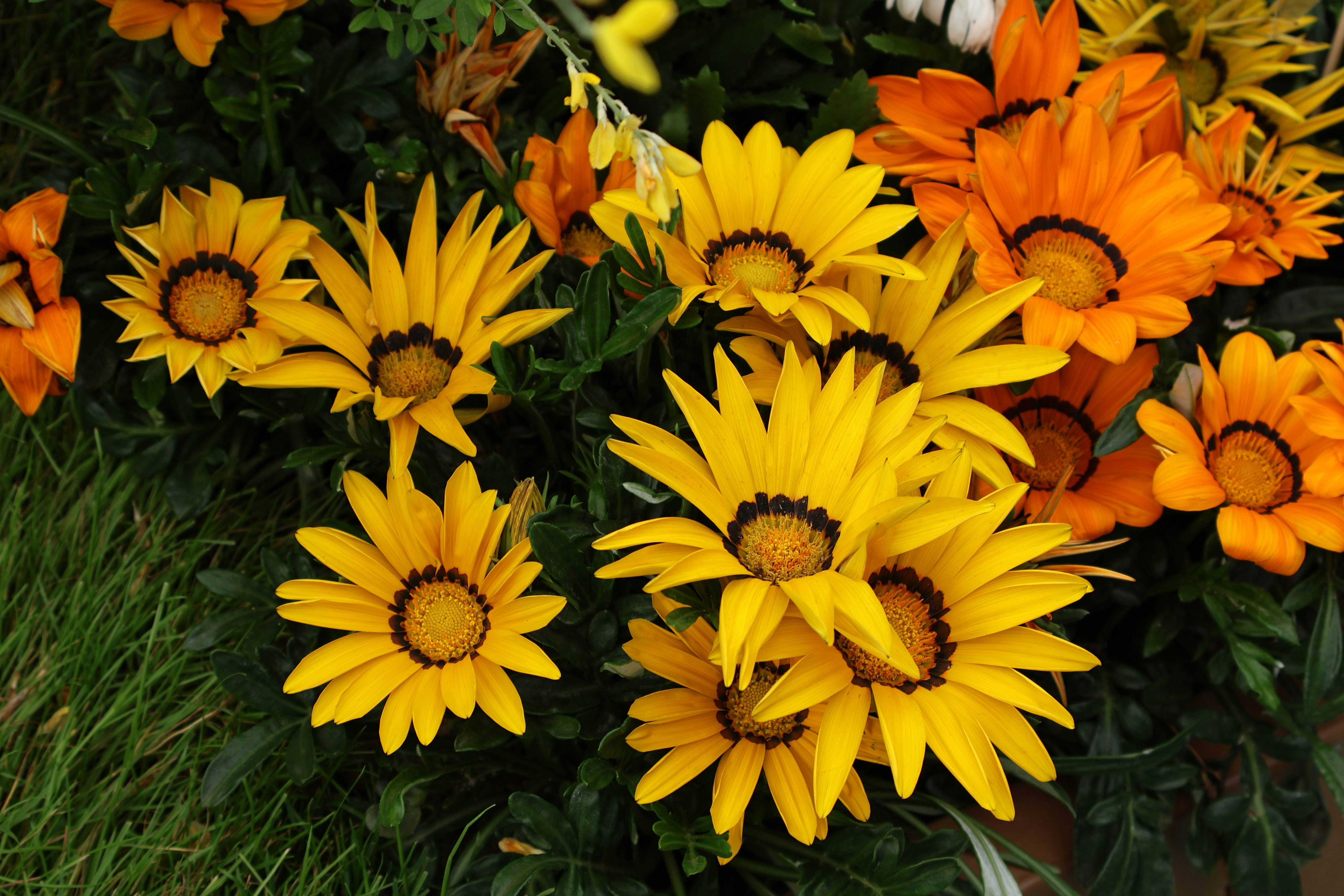 Photo by vickeekiwiwow