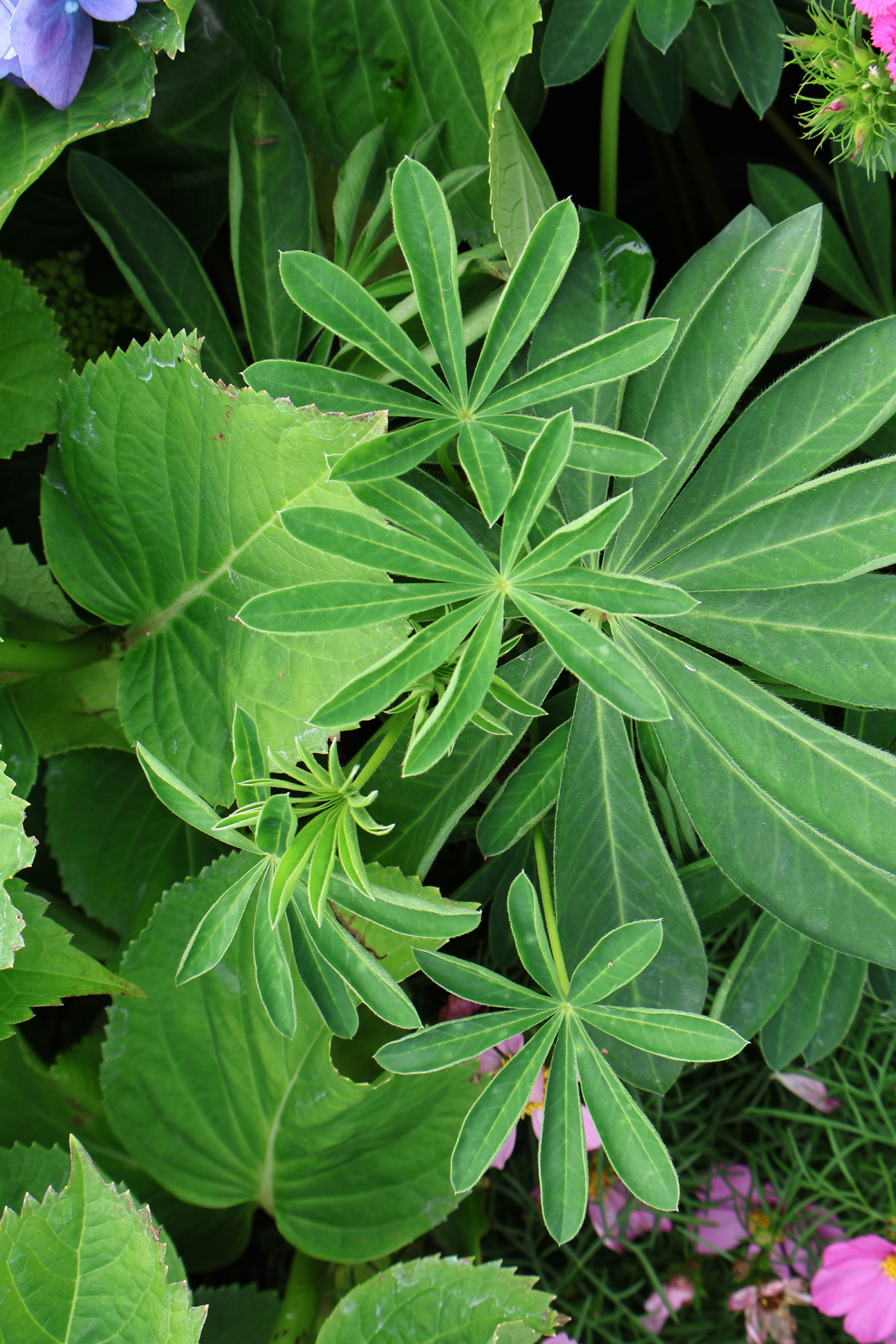 Photo by vickeekiwiwow