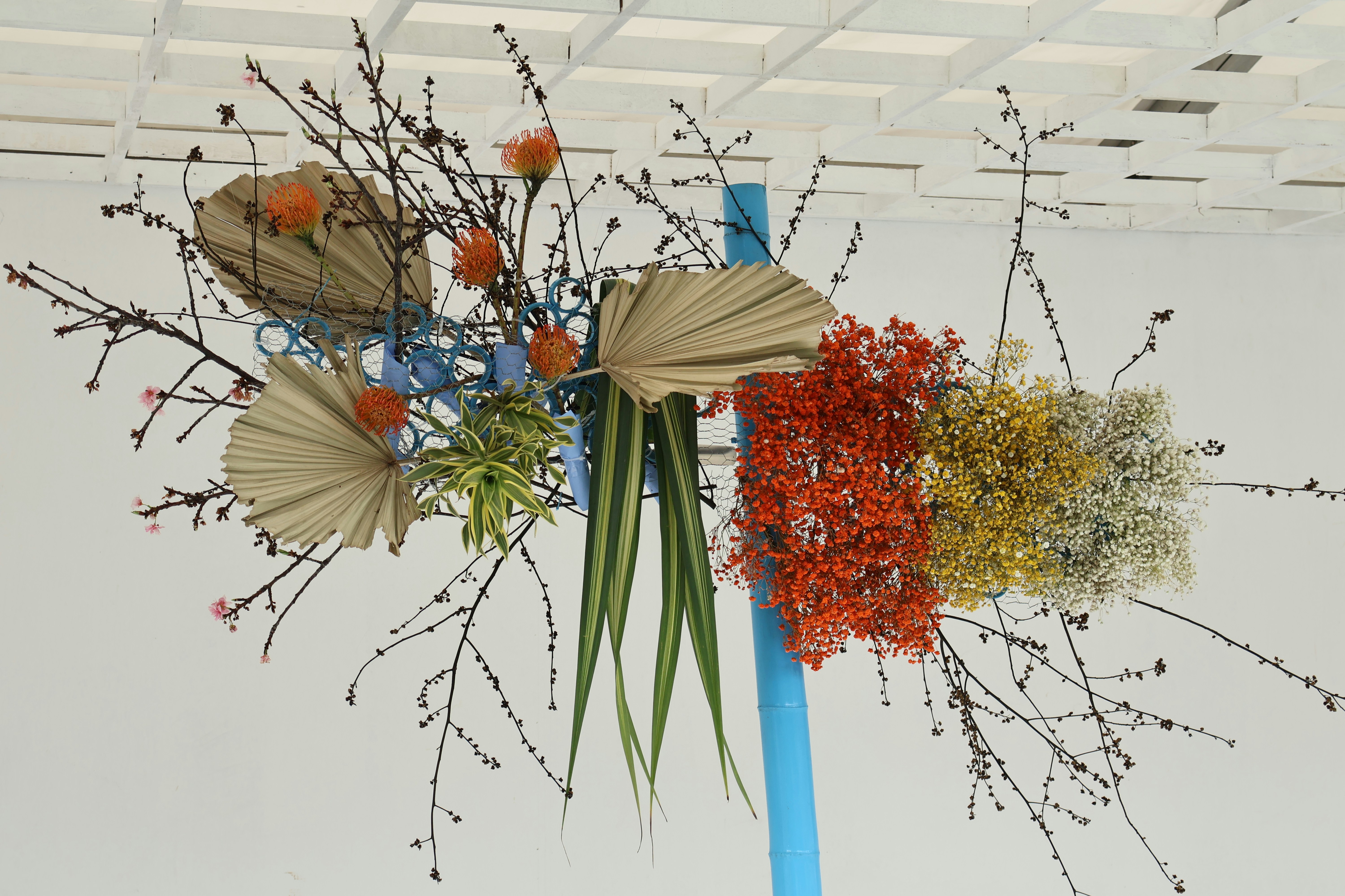 Hong Kong Flower Show 2025