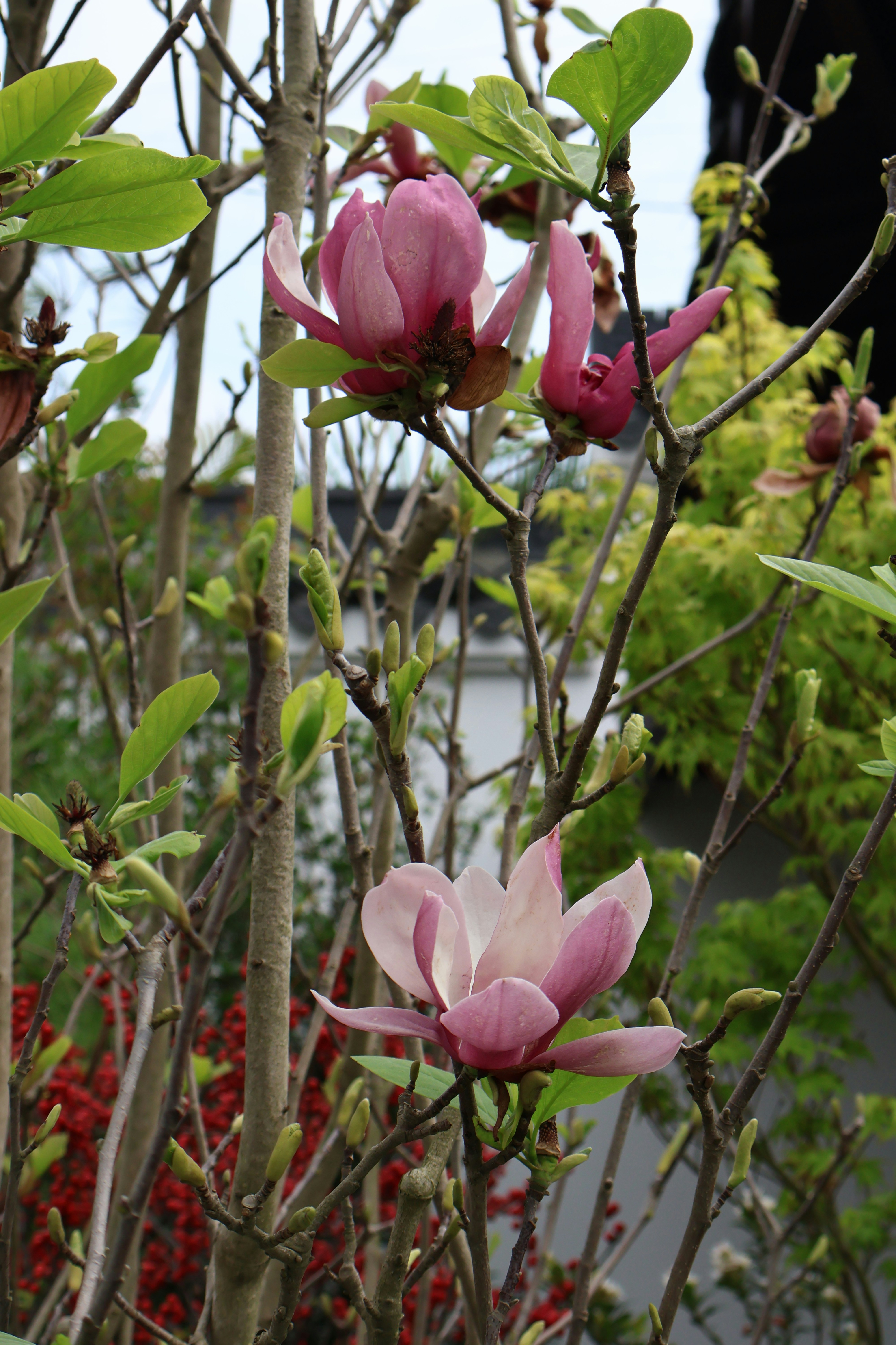 Photo by vickeekiwiwow