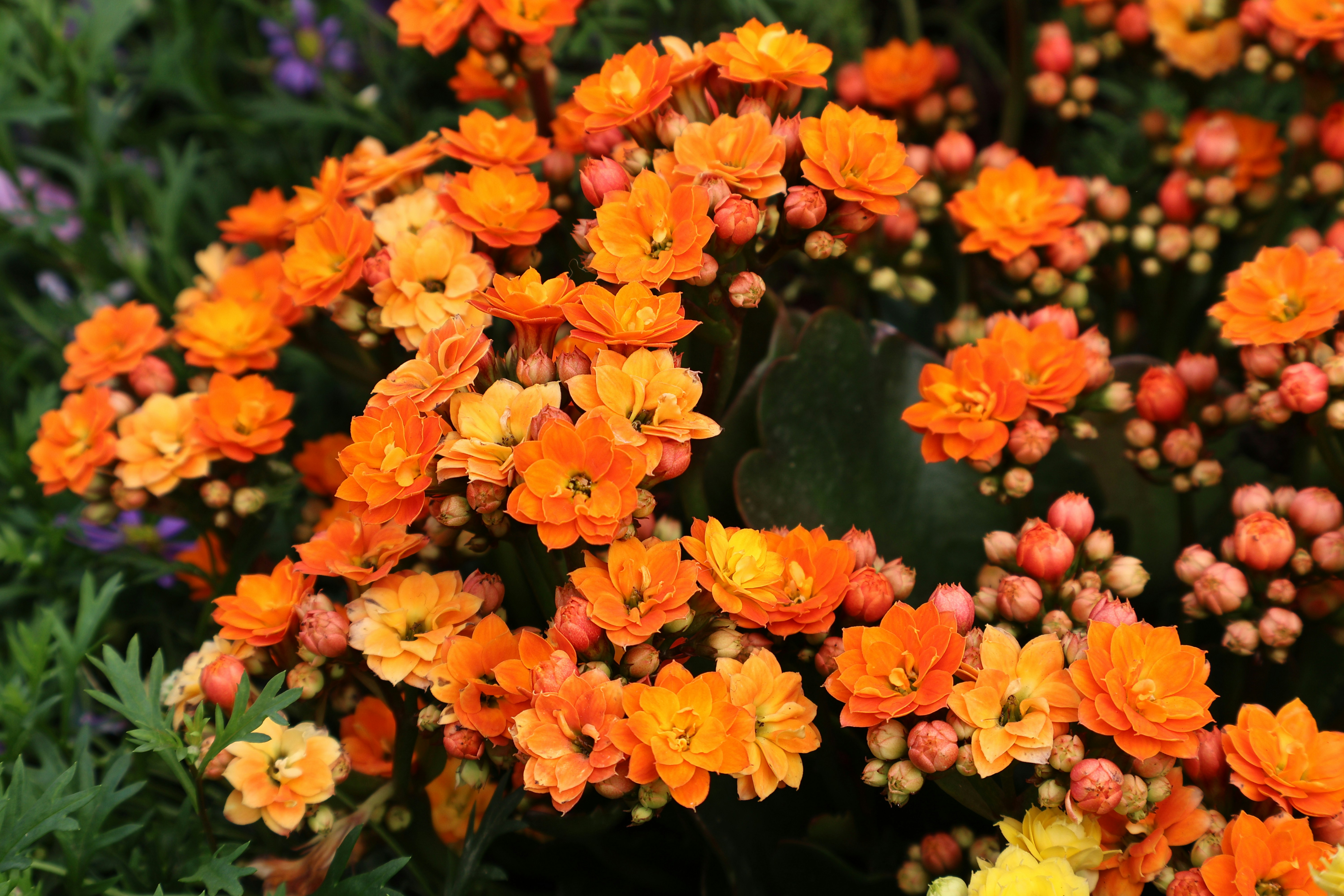 Photo by vickeekiwiwow