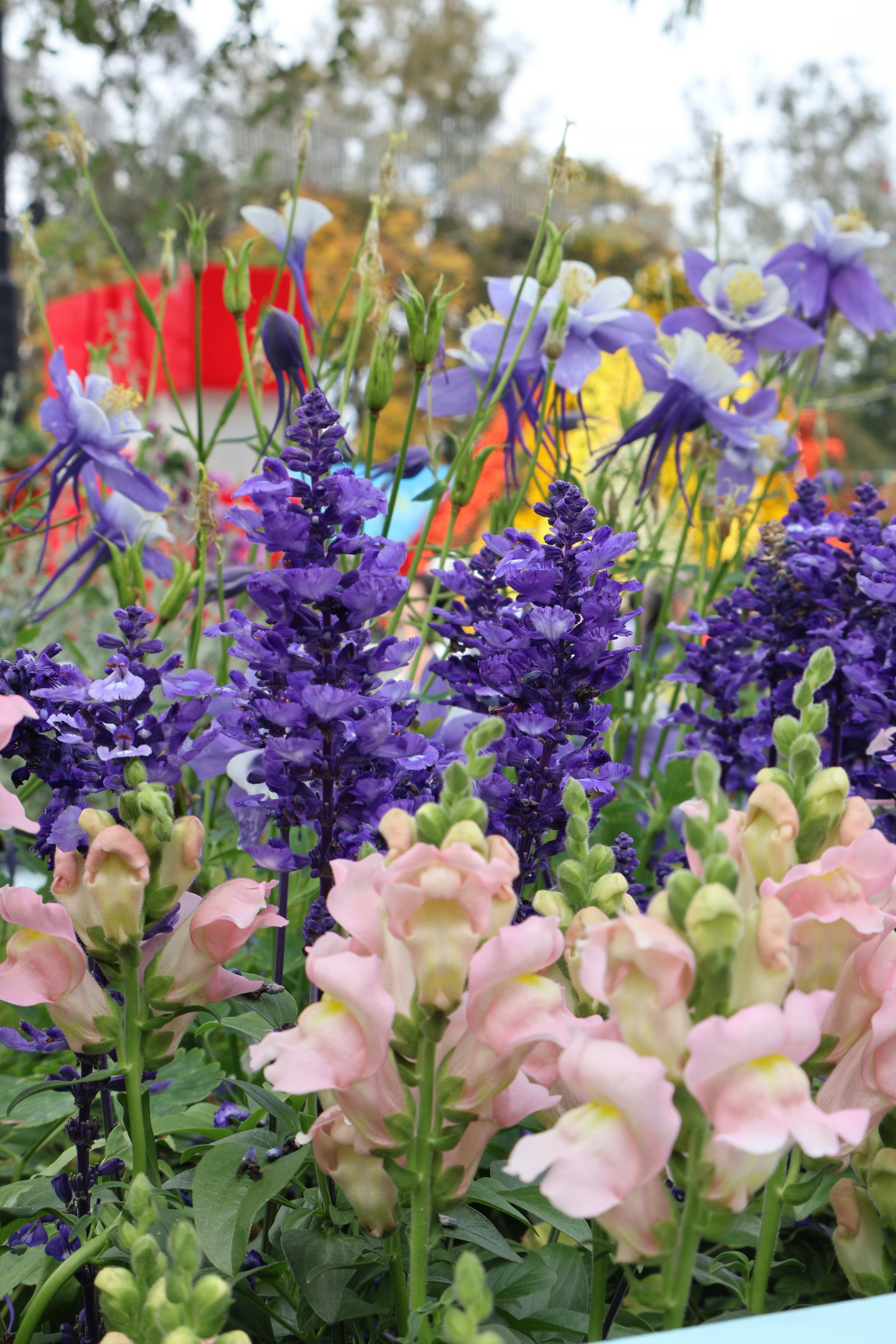 Photo by vickeekiwiwow