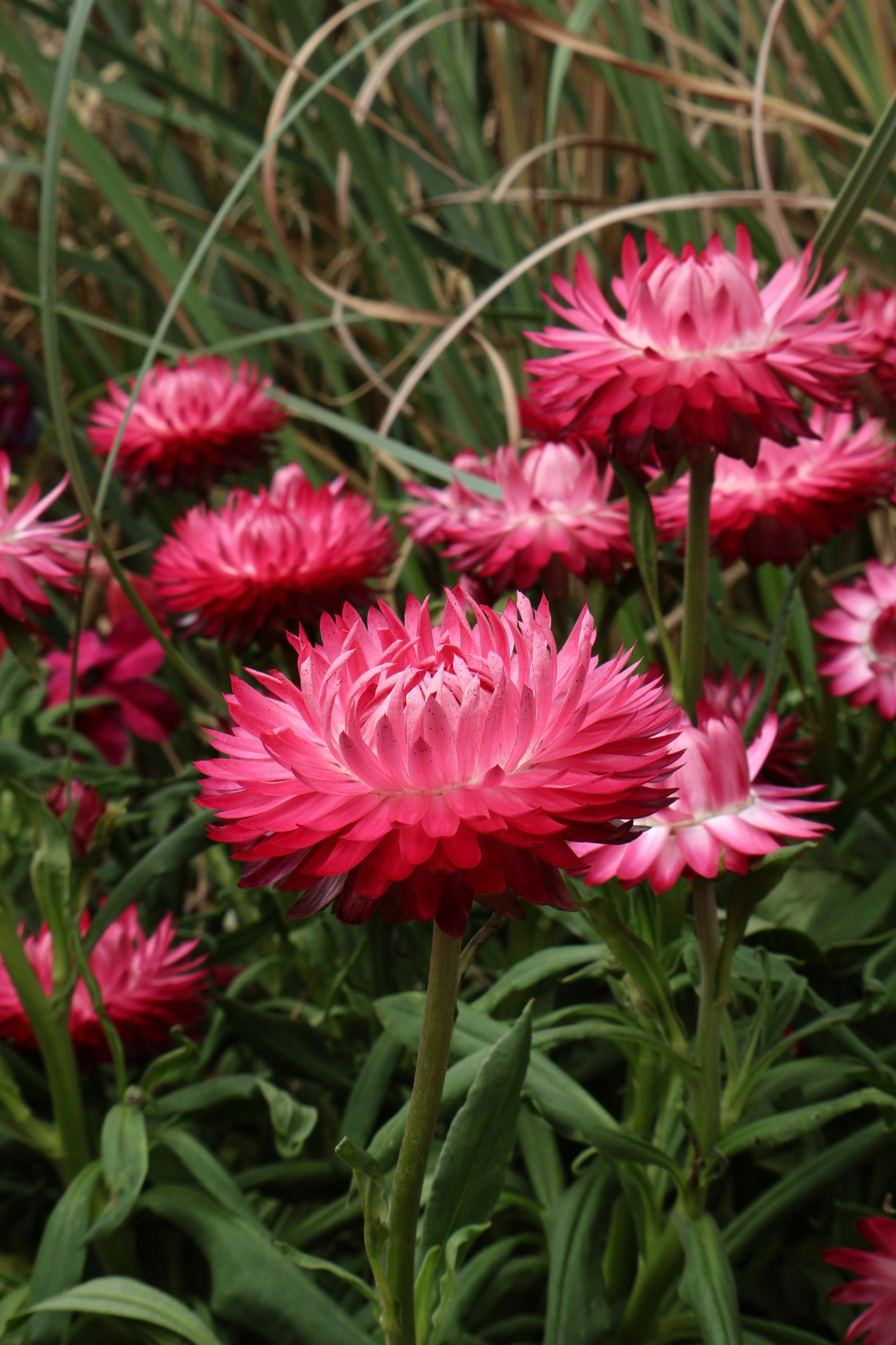 Photo by vickeekiwiwow