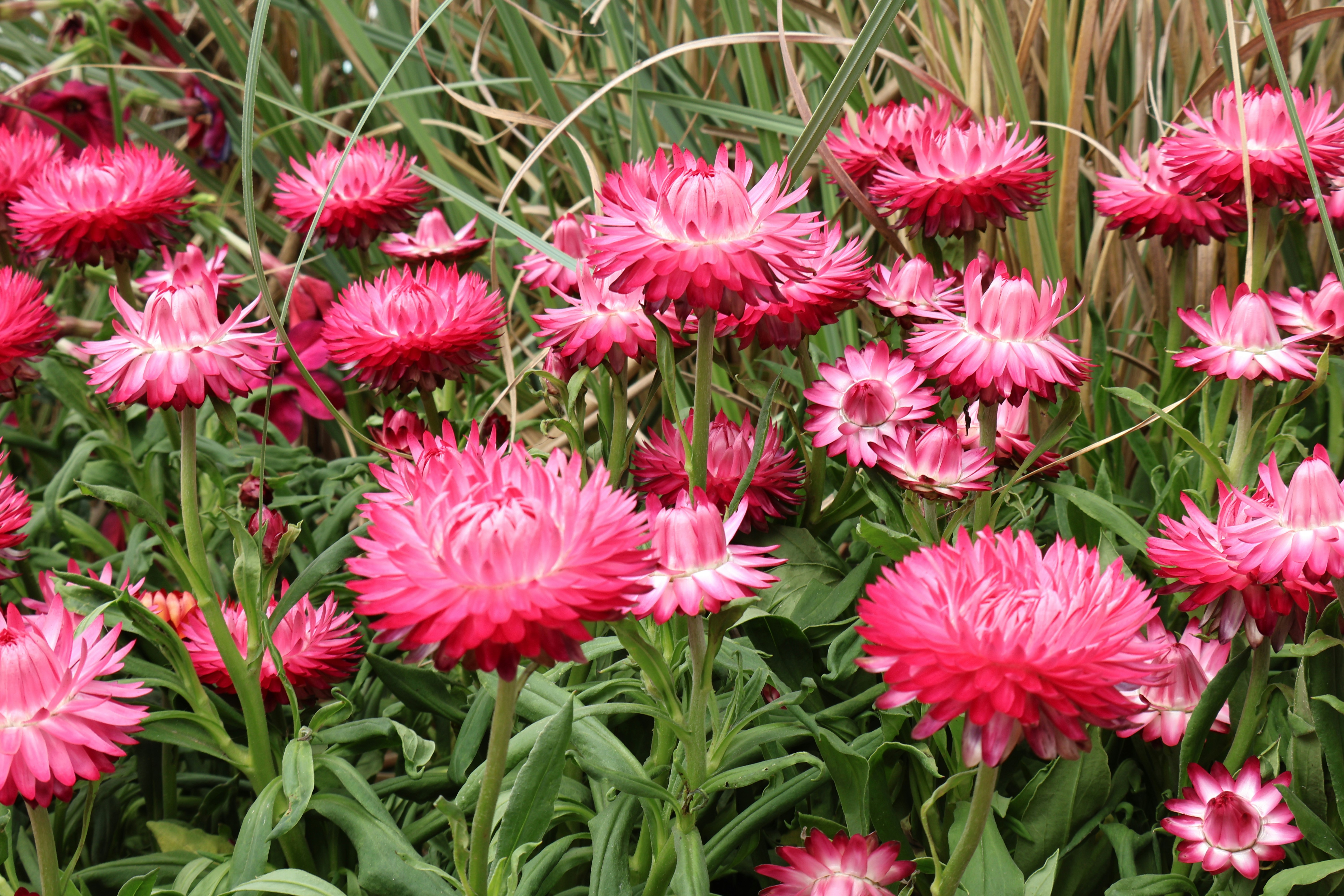 Photo by vickeekiwiwow