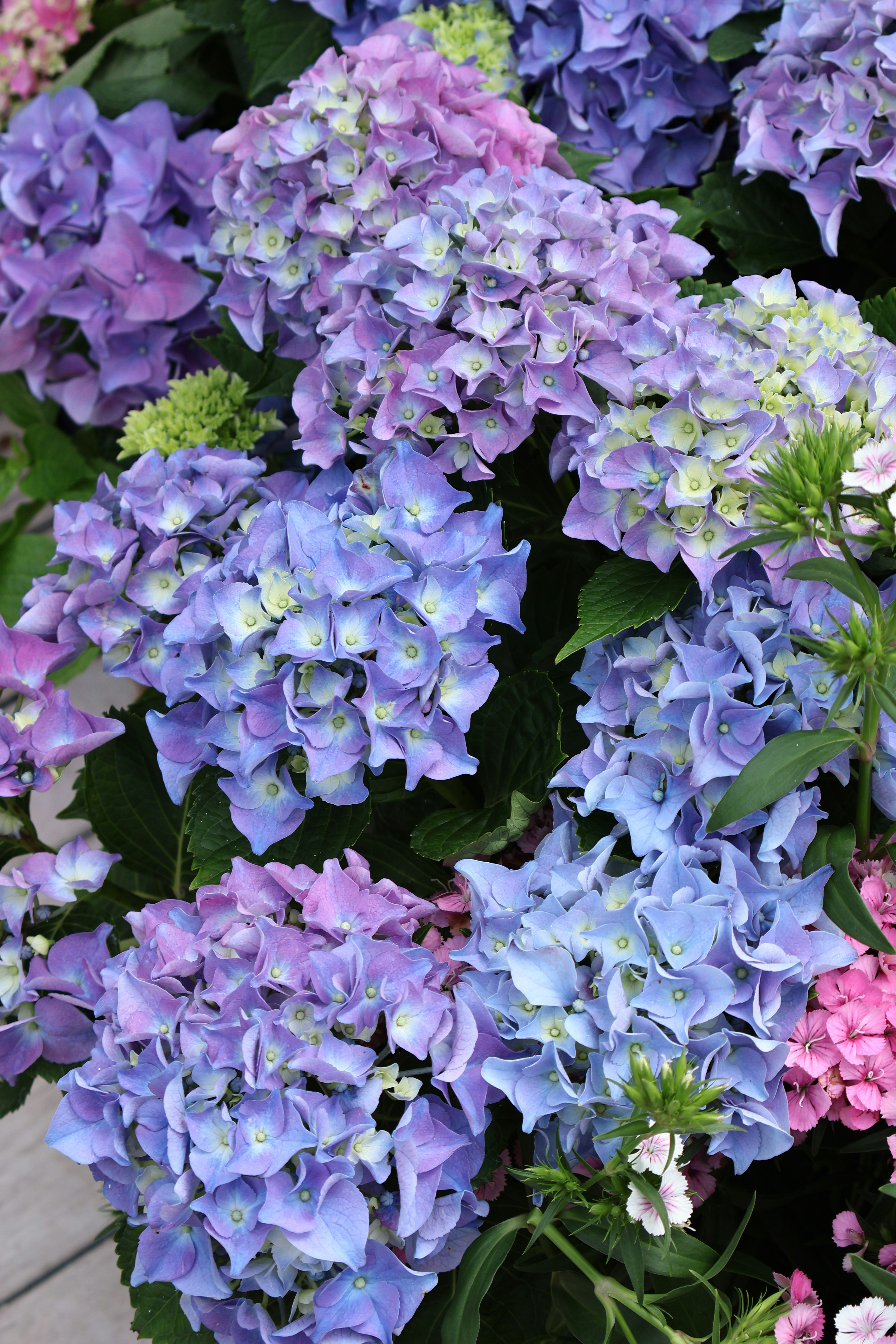 Photo by vickeekiwiwow