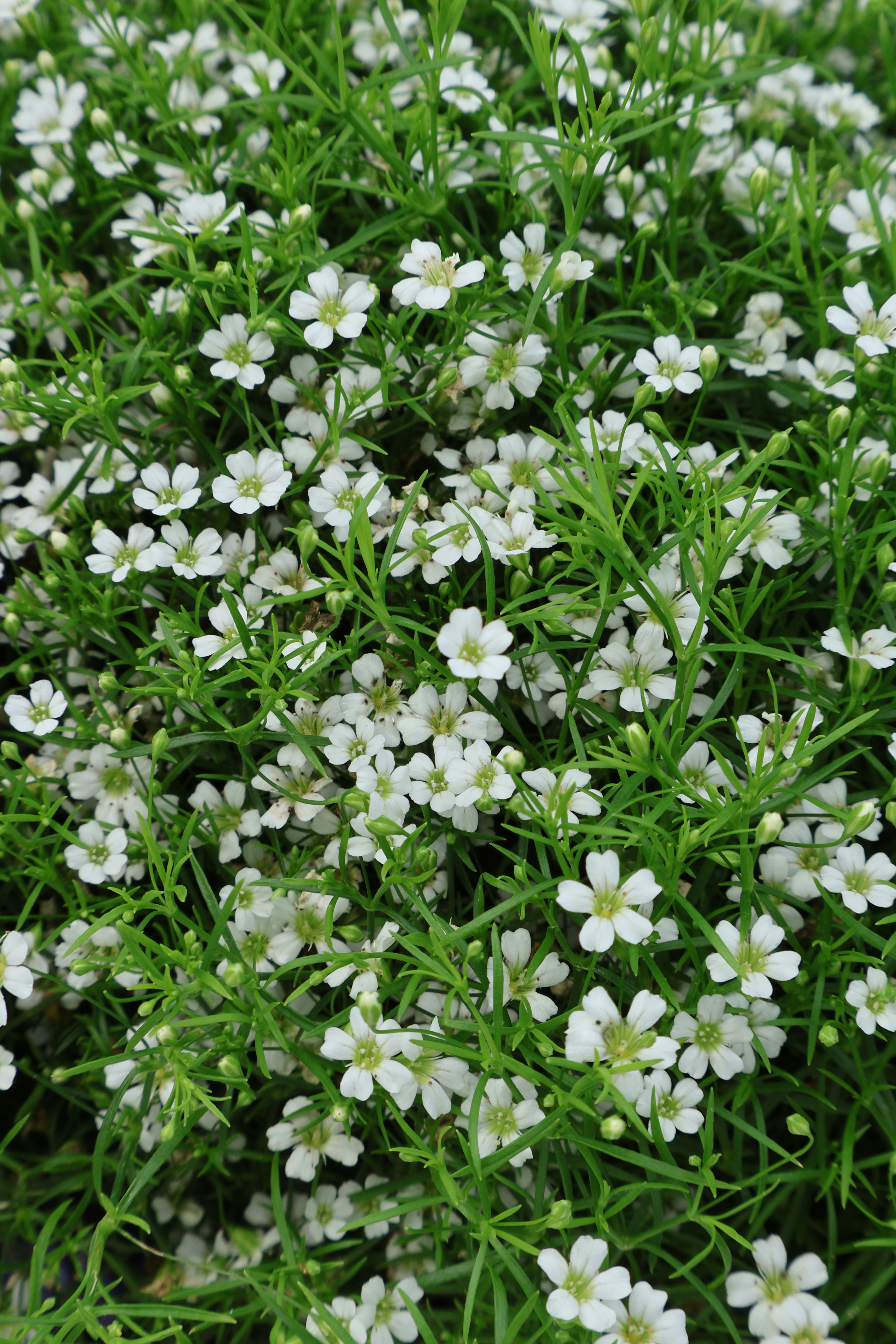 Photo by vickeekiwiwow