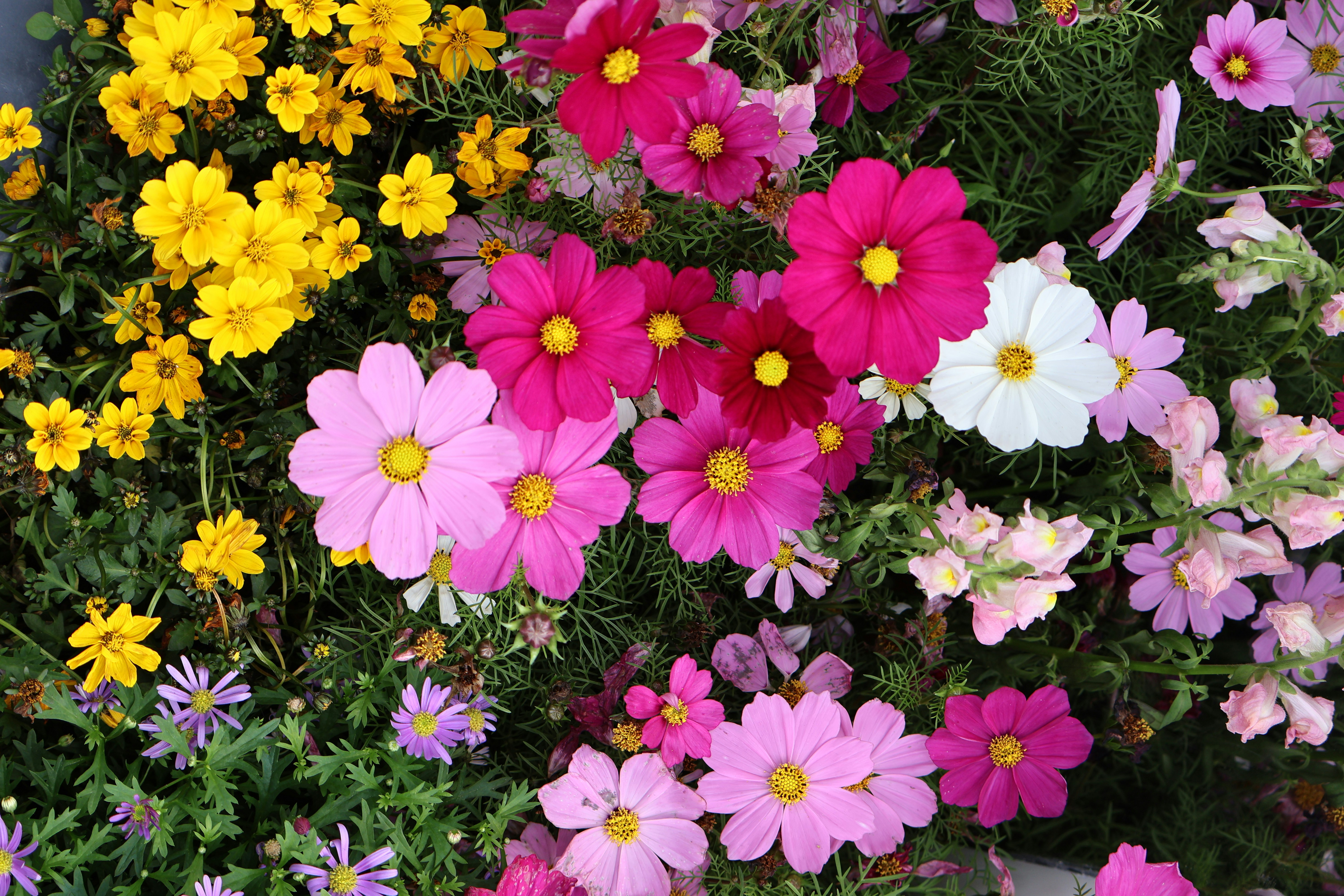 Photo by vickeekiwiwow