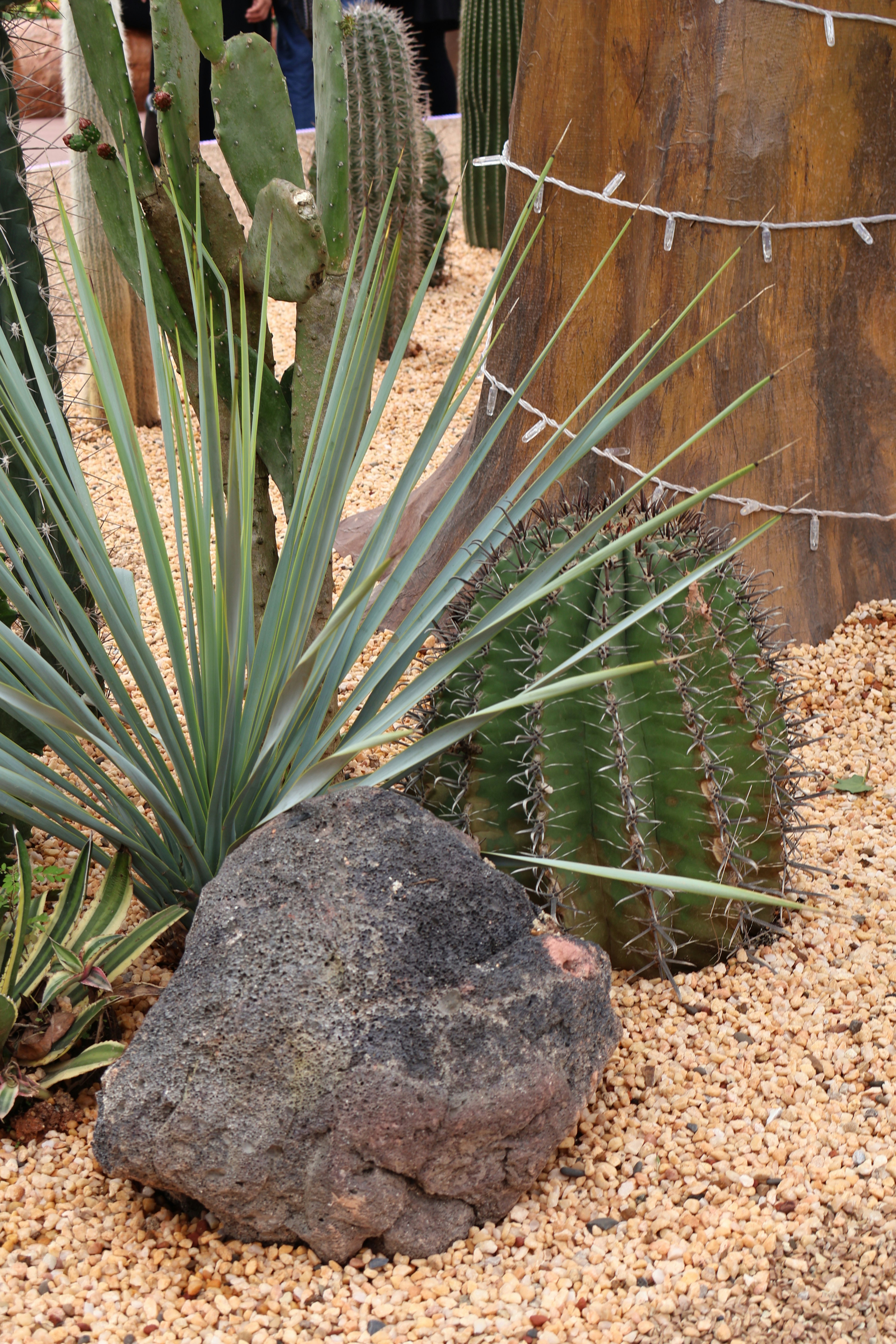 Photo by vickeekiwiwow