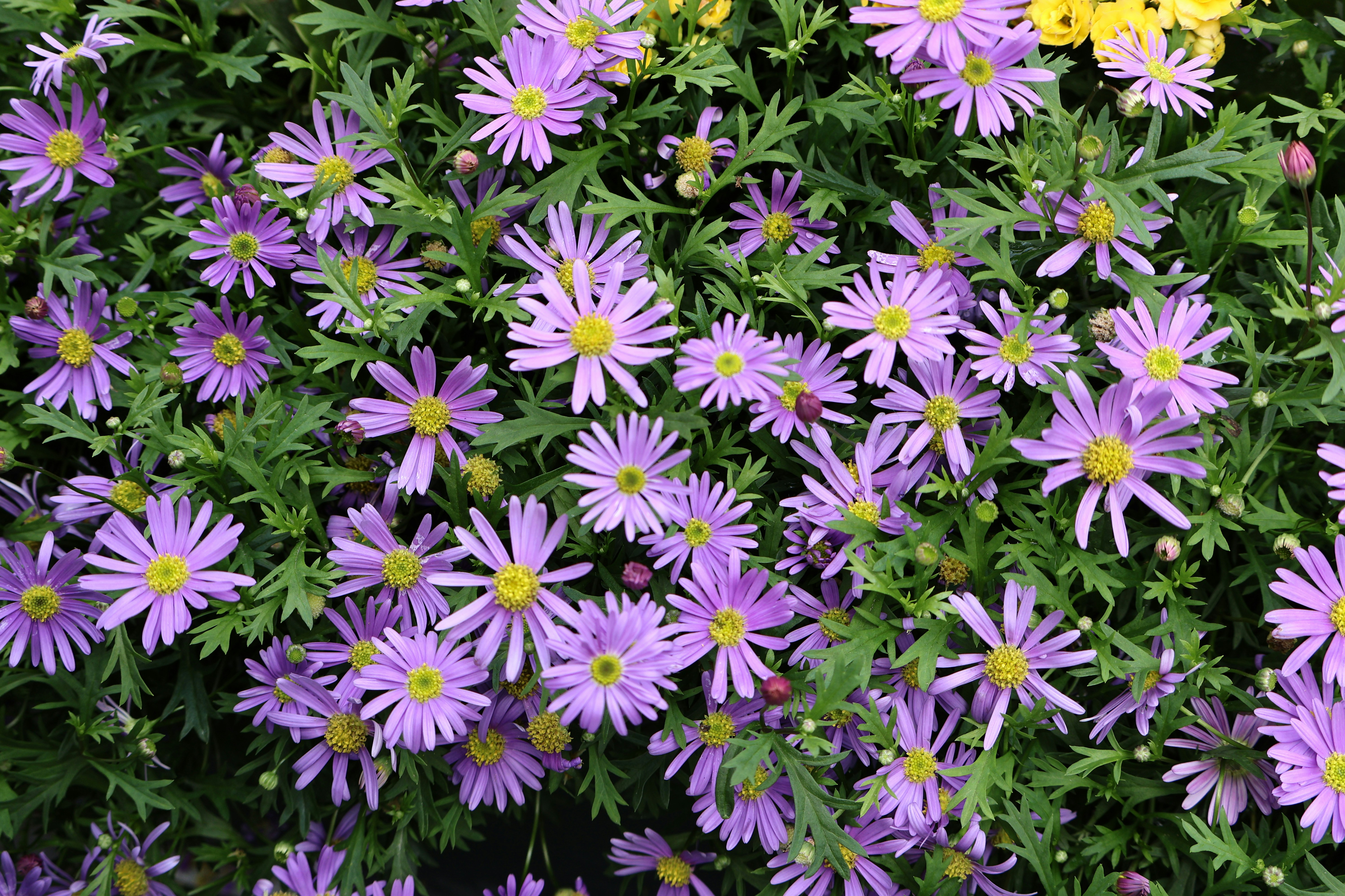 Photo by vickeekiwiwow