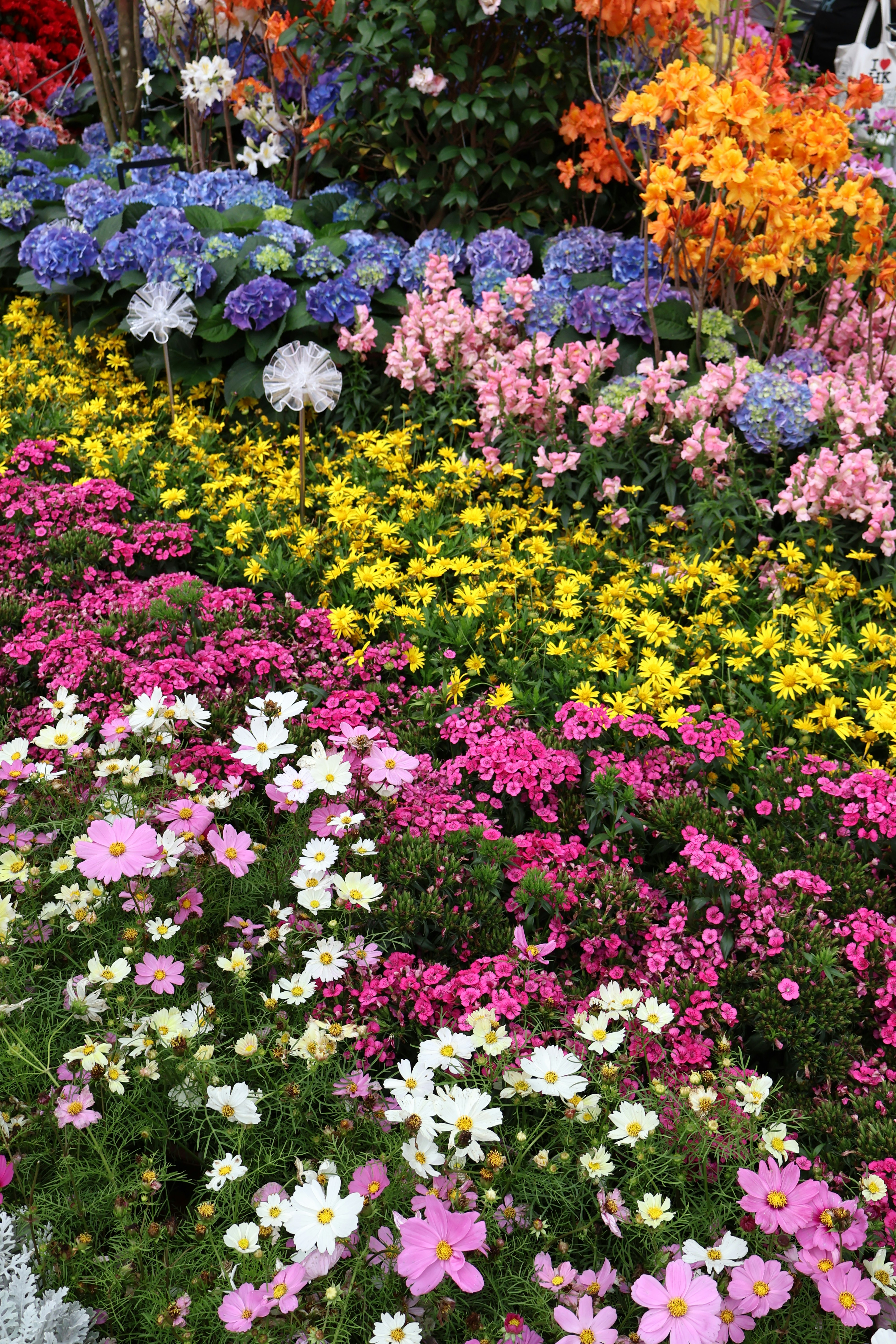 Photo by vickeekiwiwow