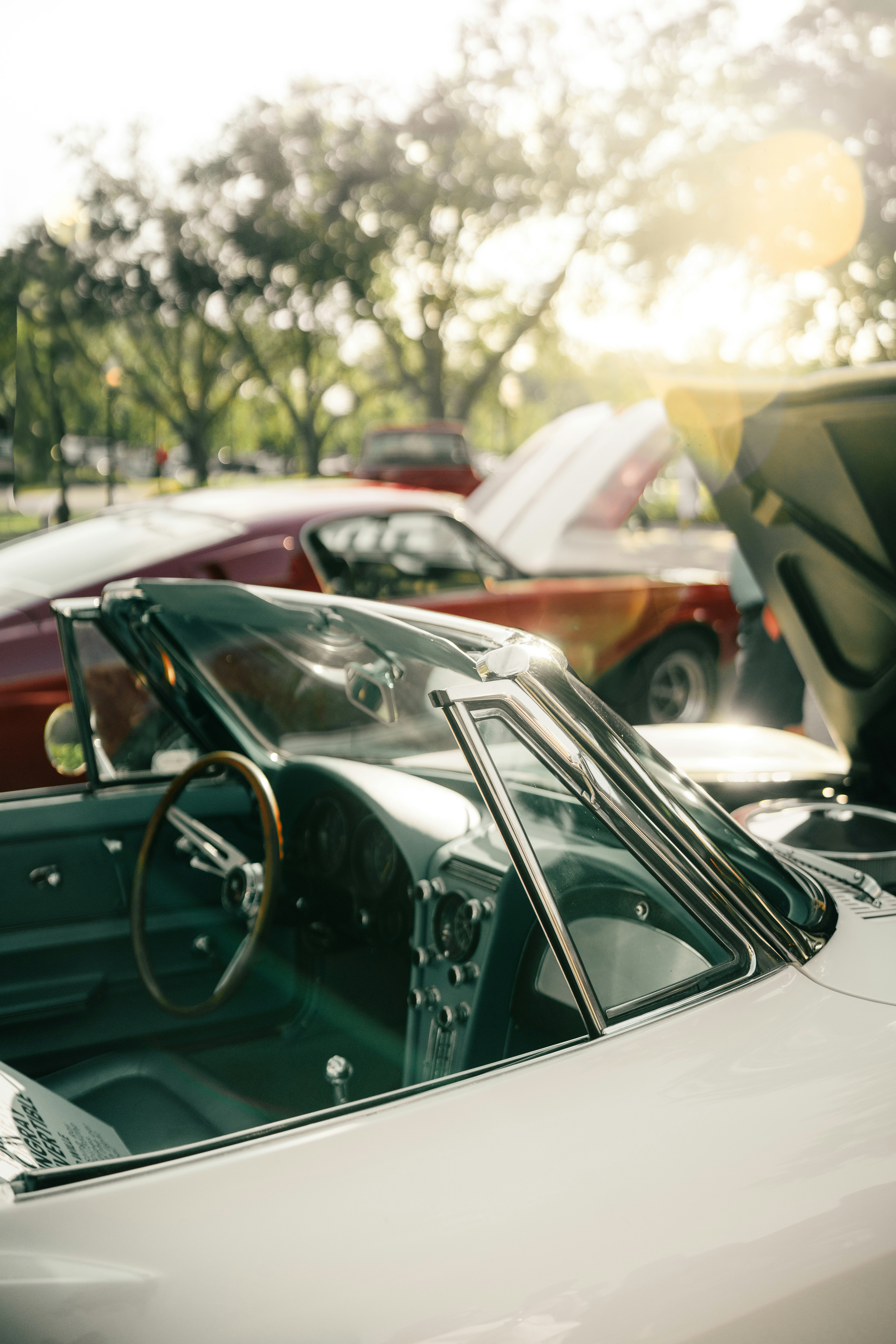 Photo by elianna_gill03