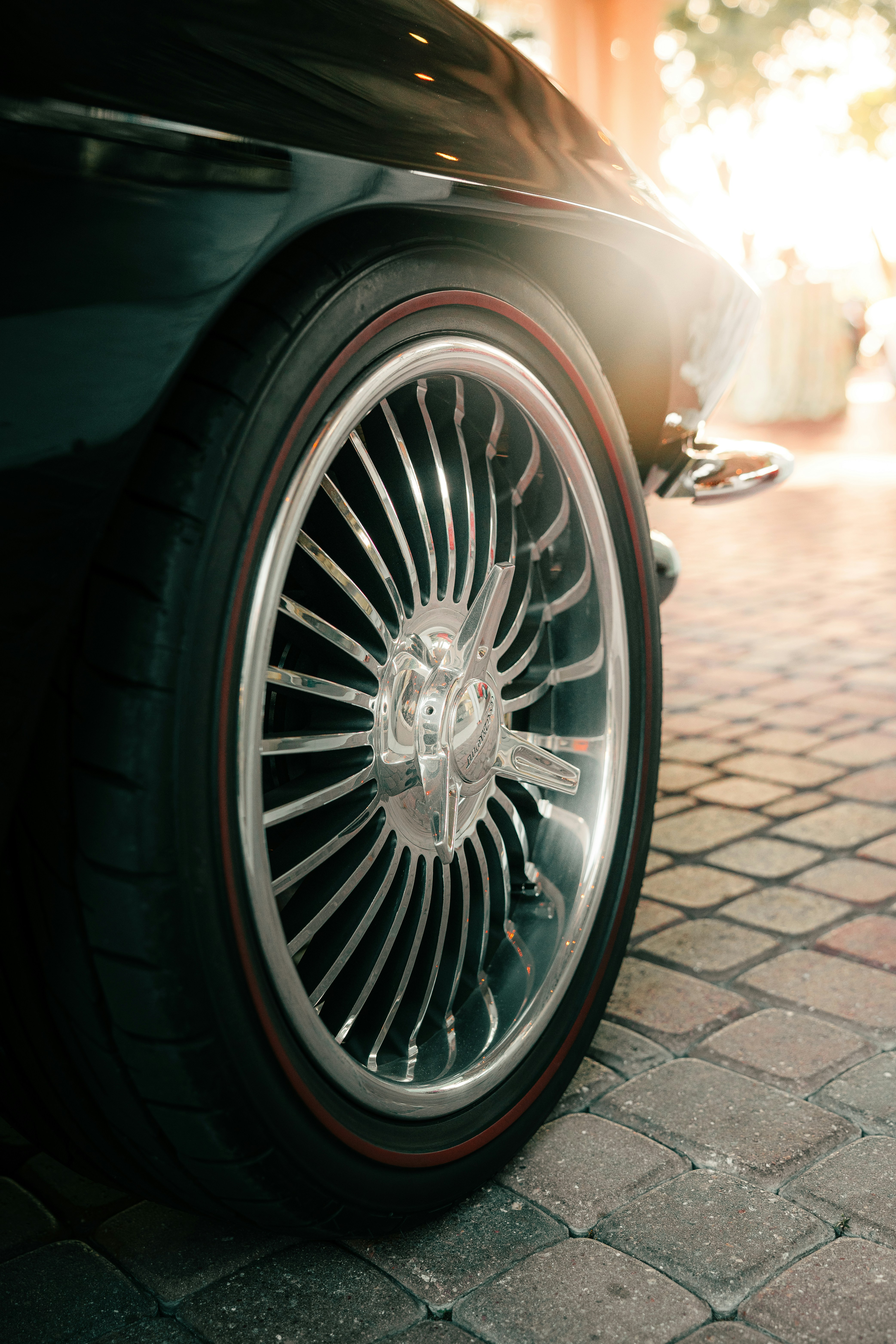 Photo by elianna_gill03