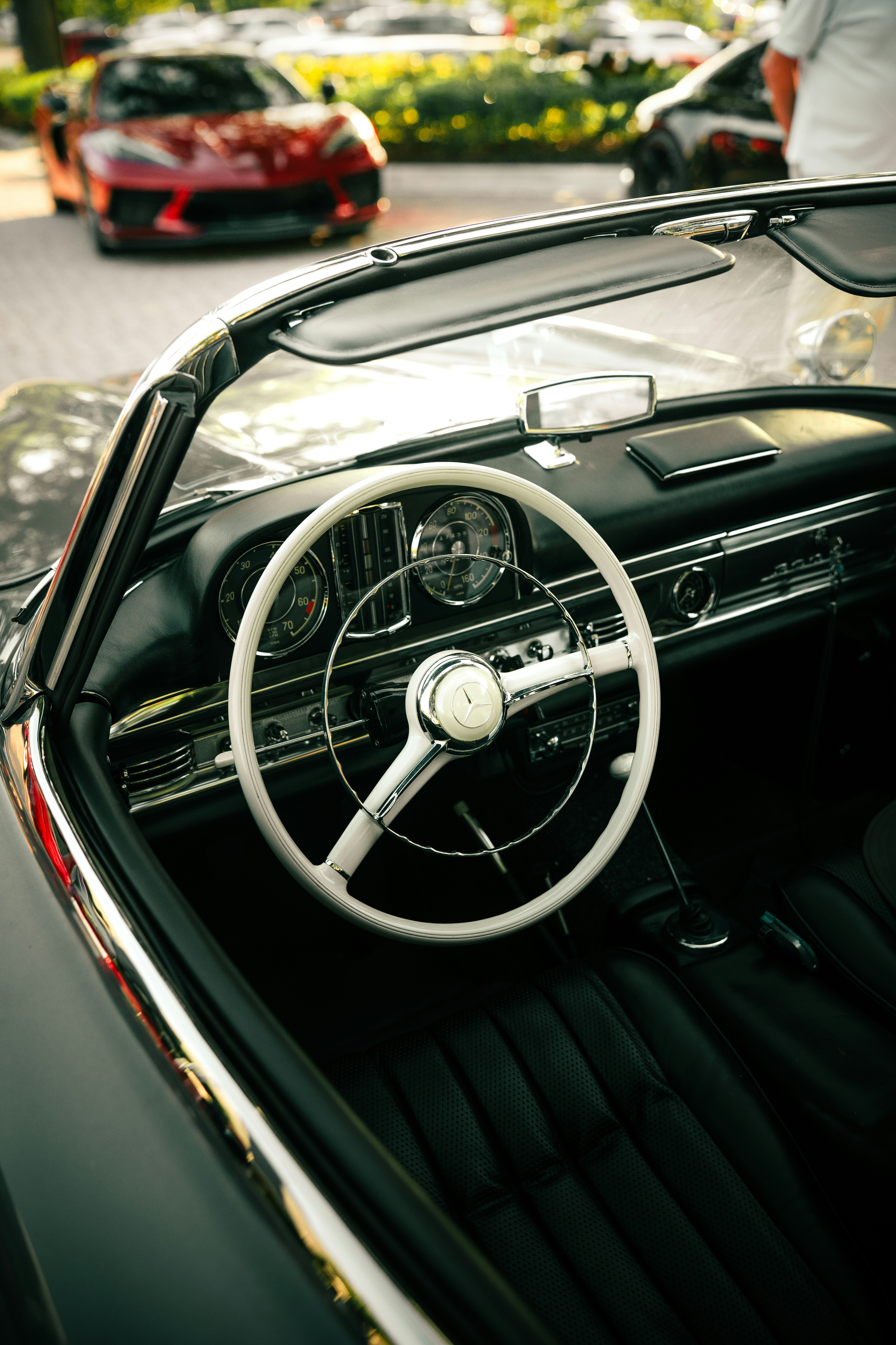 Photo by elianna_gill03