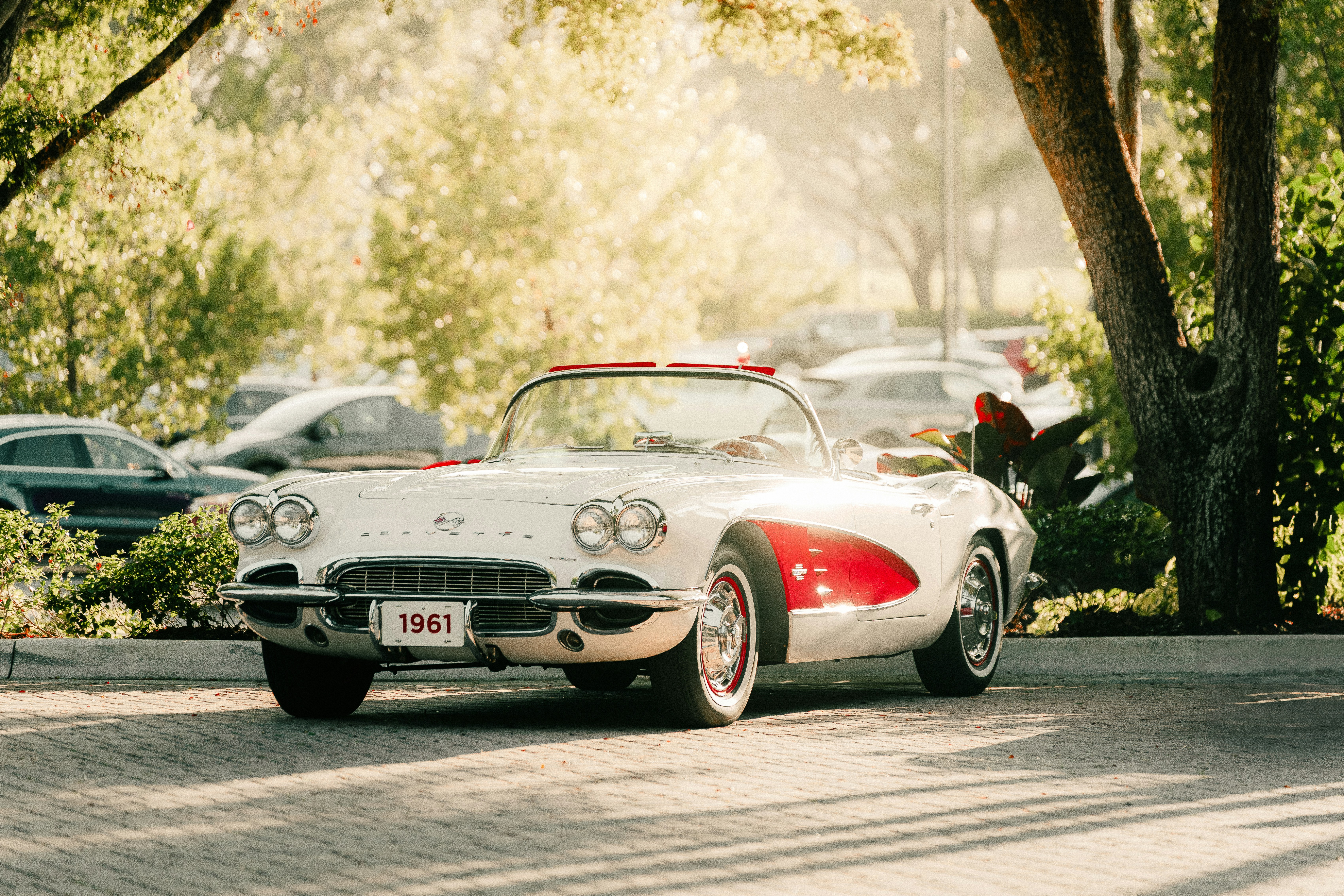 Photo by elianna_gill03