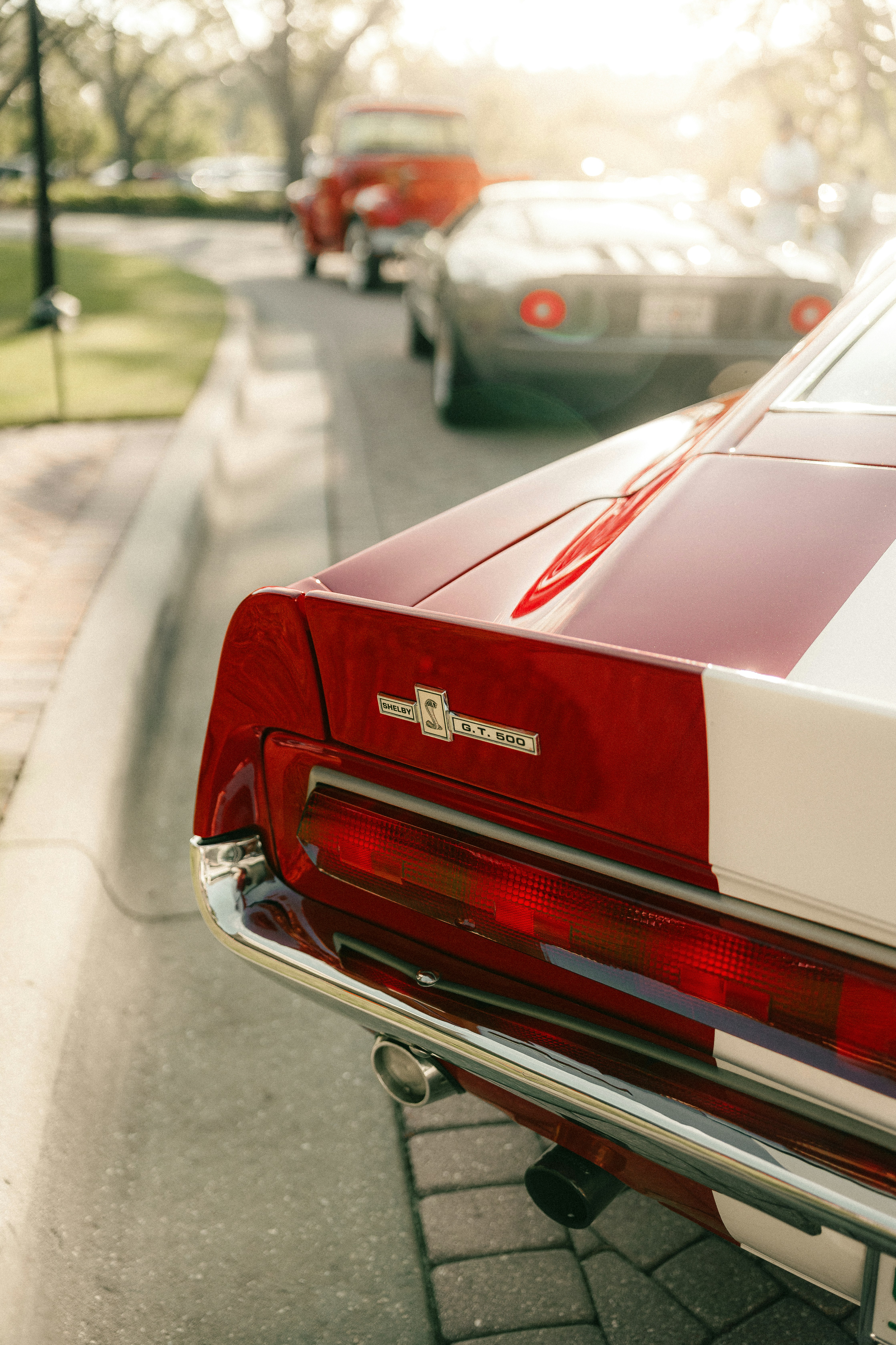 Photo by elianna_gill03