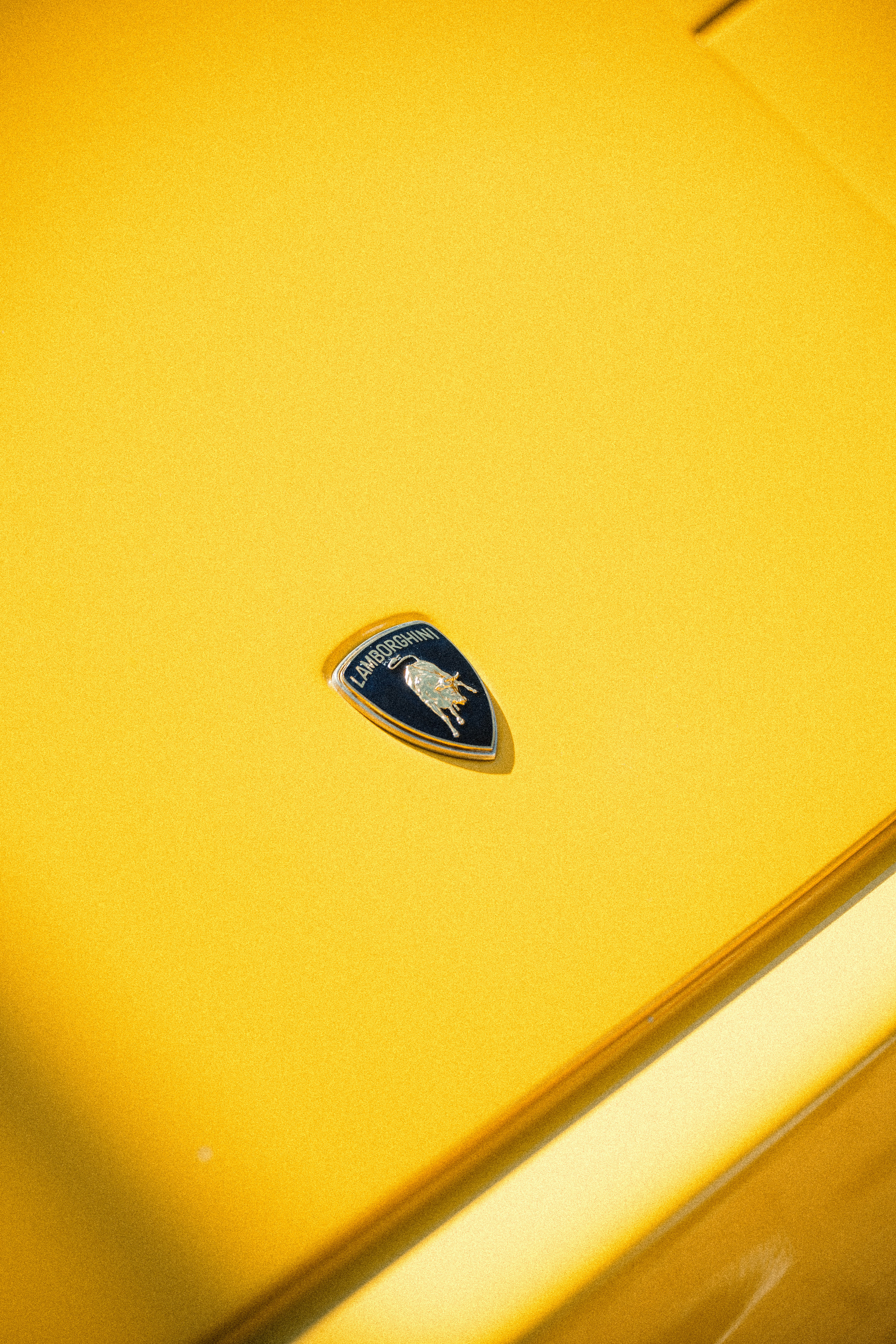 Logo Lamborghini su una superficie giallo brillante.