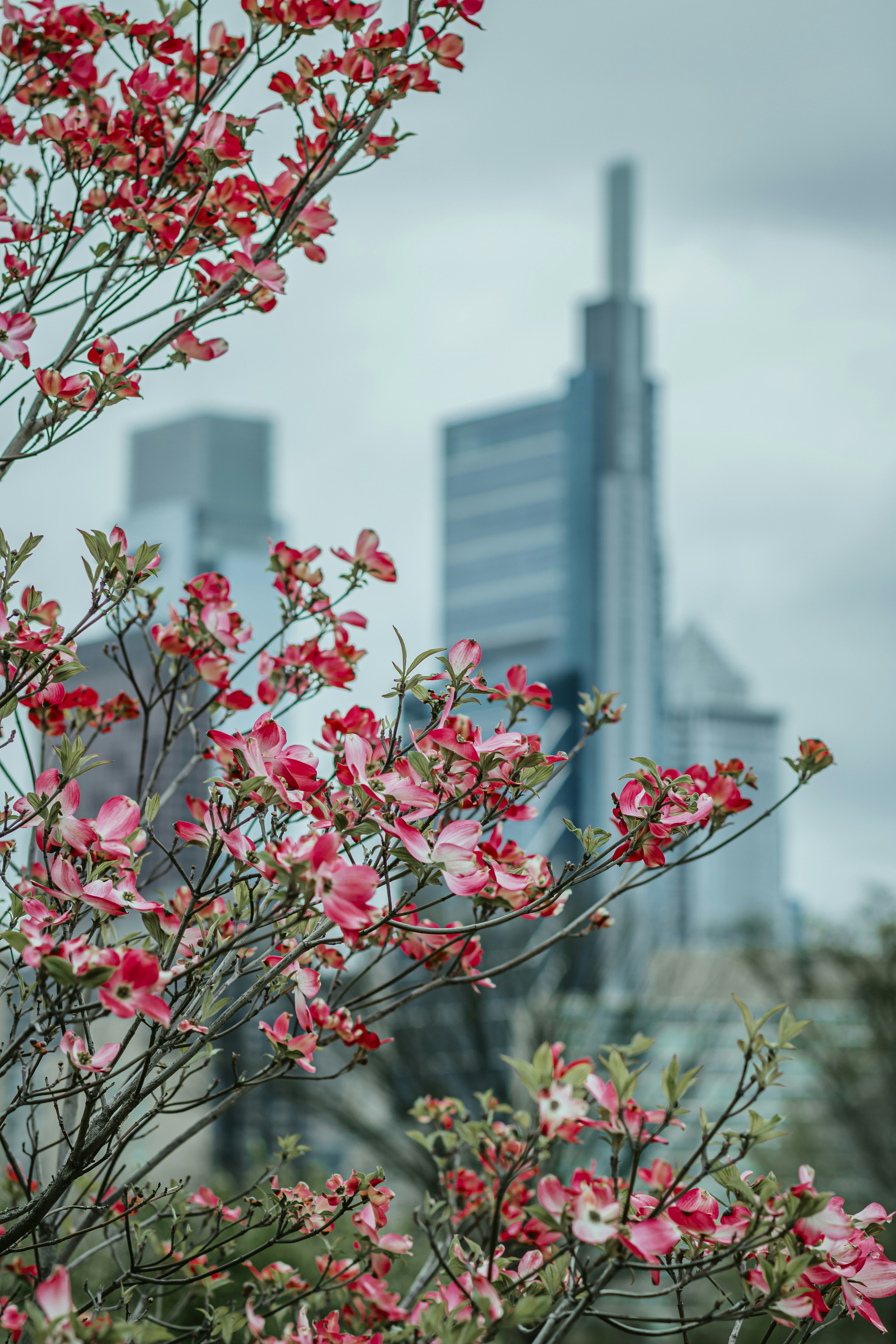 Photo by thatcreativeguy