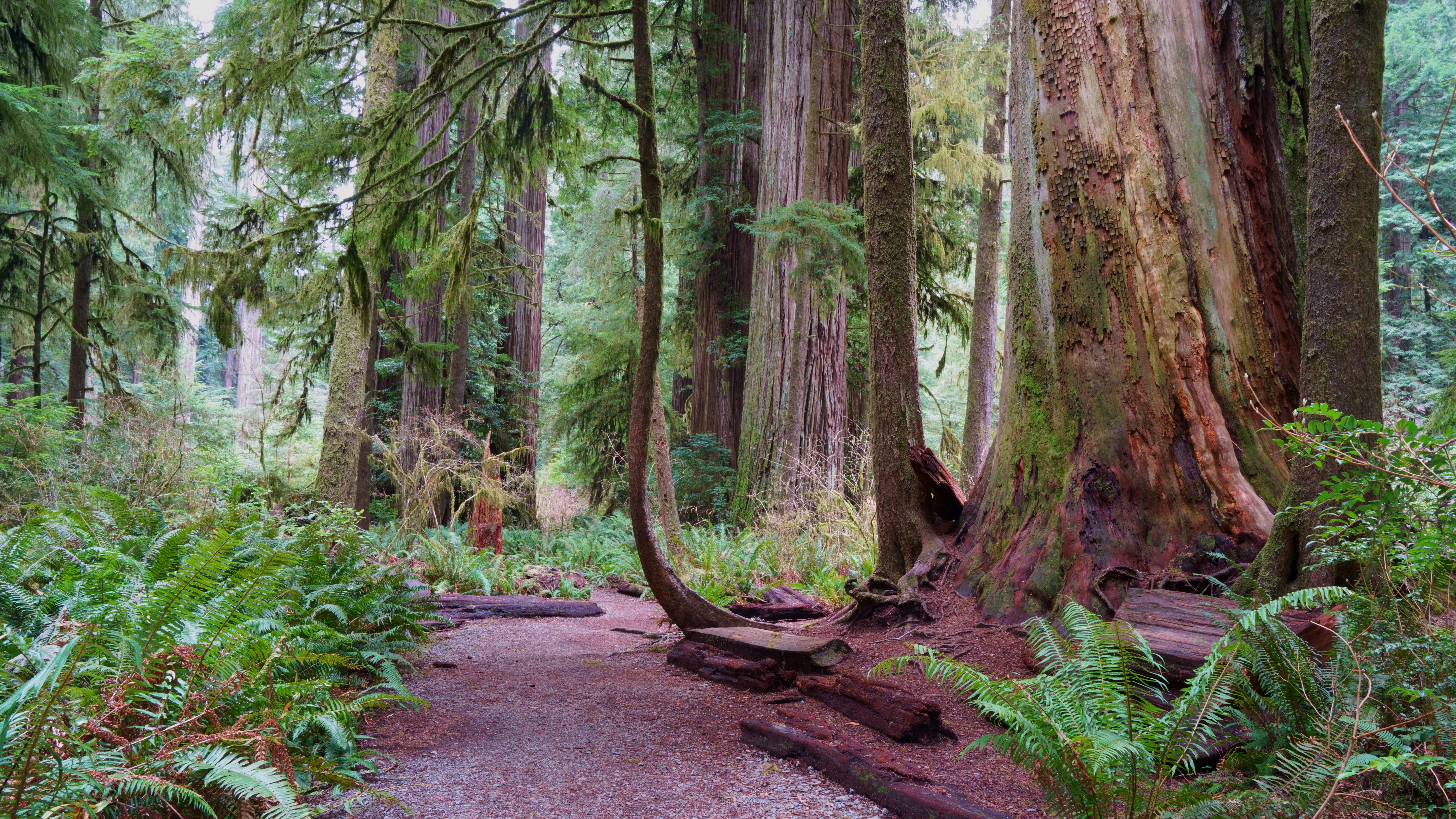 Photo by patrickbigelow_zoom_in