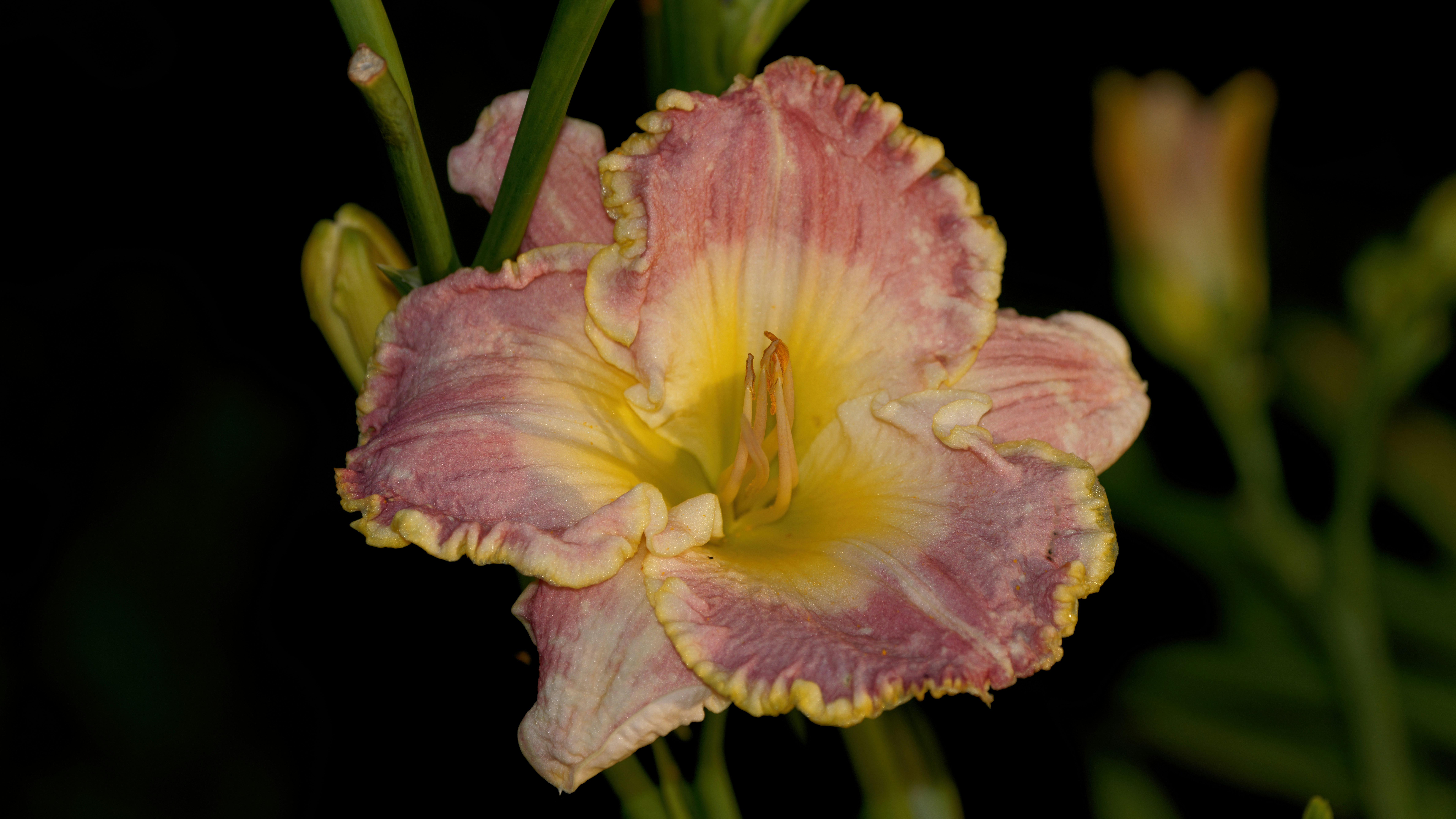 Photo by patrickbigelow_zoom_in