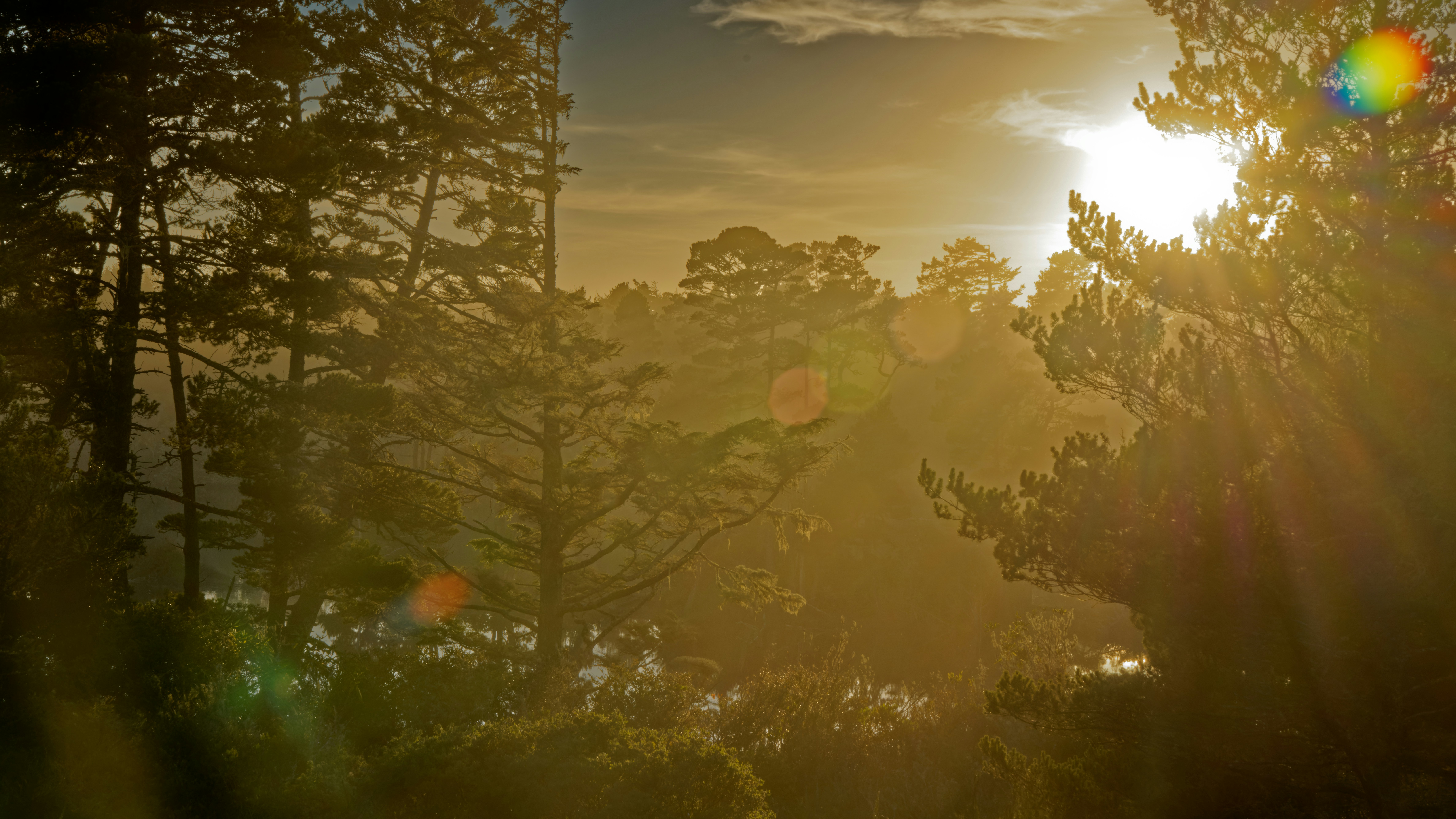 Photo by patrickbigelow_zoom_in