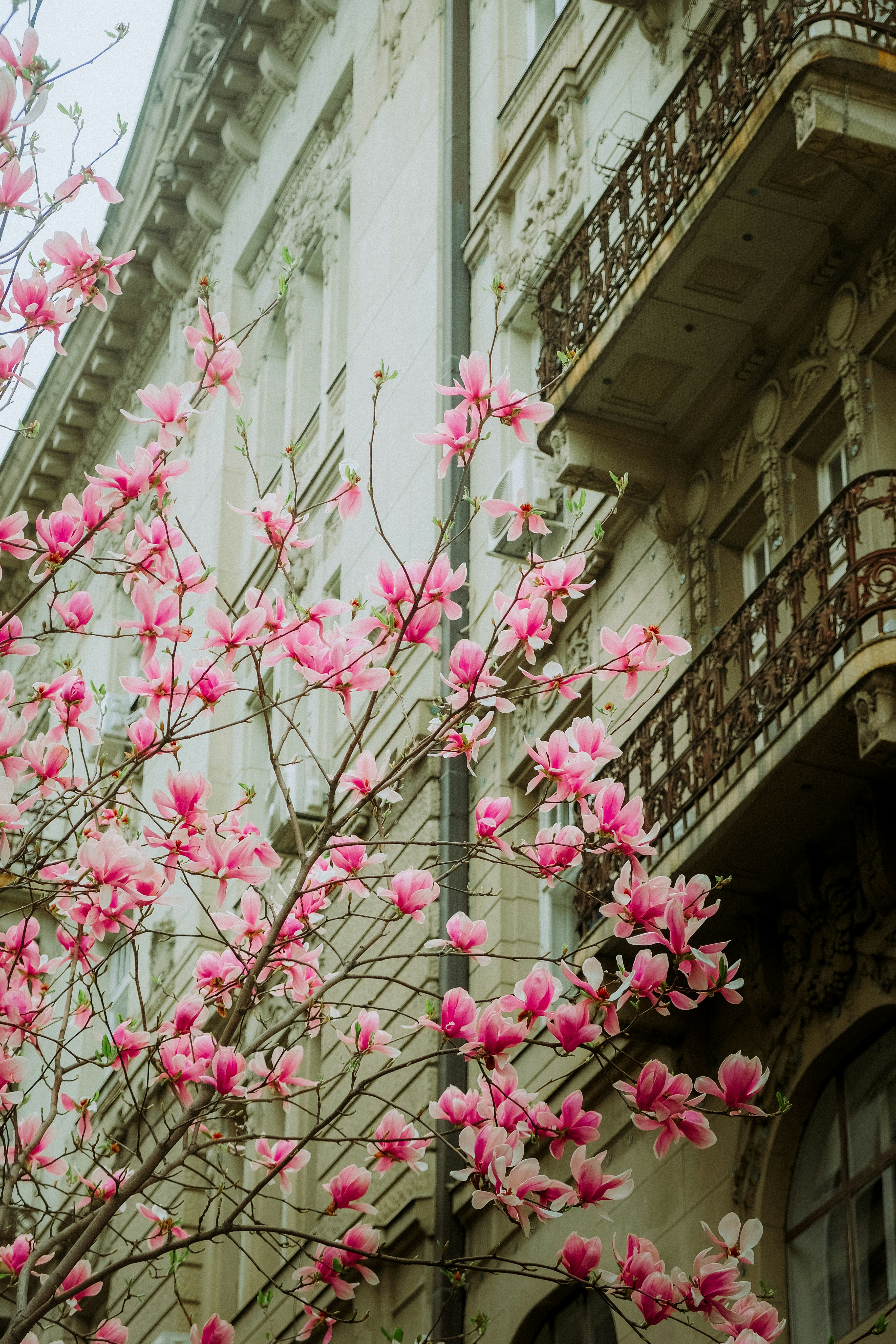 Photo by marishphoto