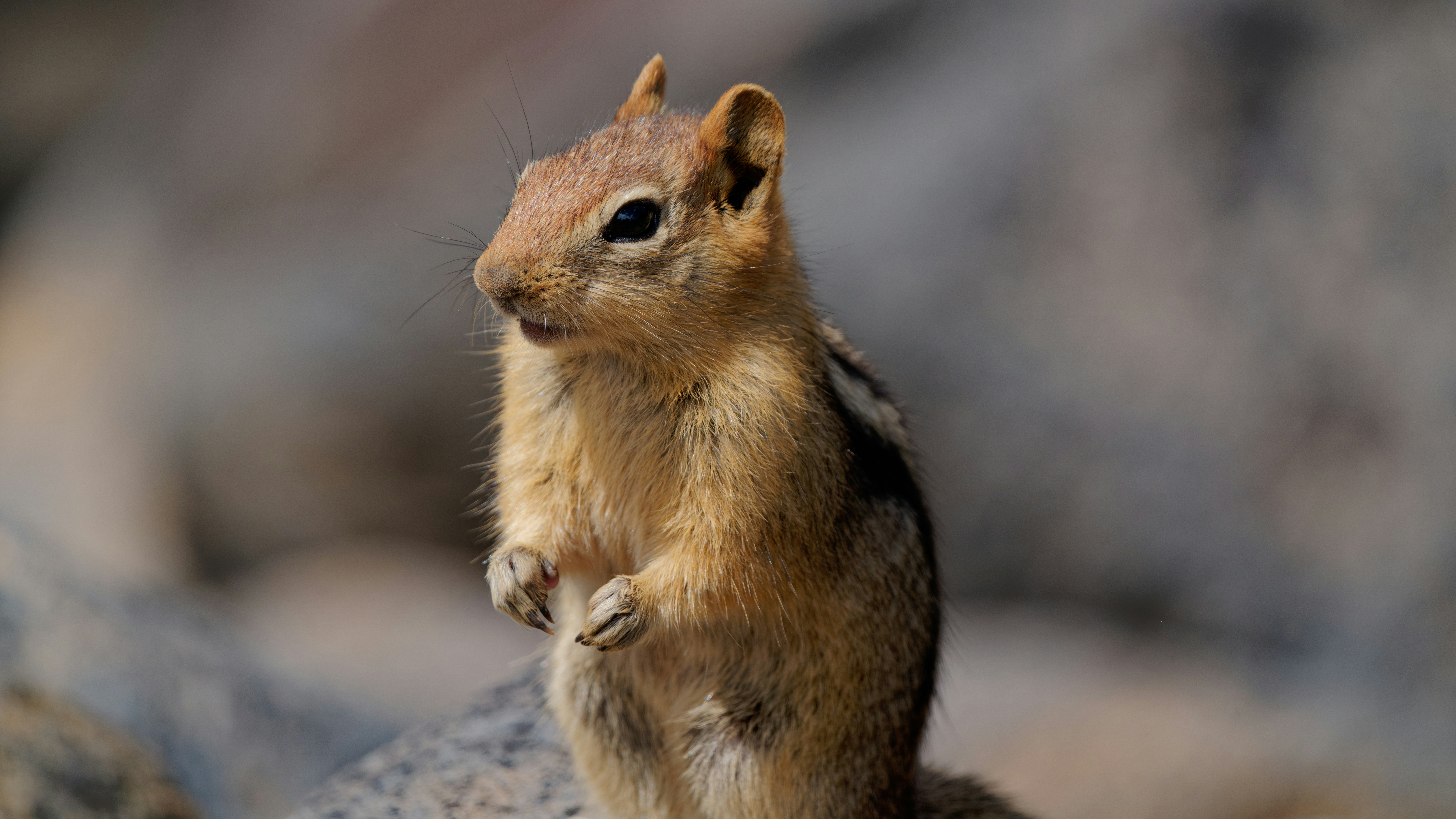 Photo by patrickbigelow_zoom_in