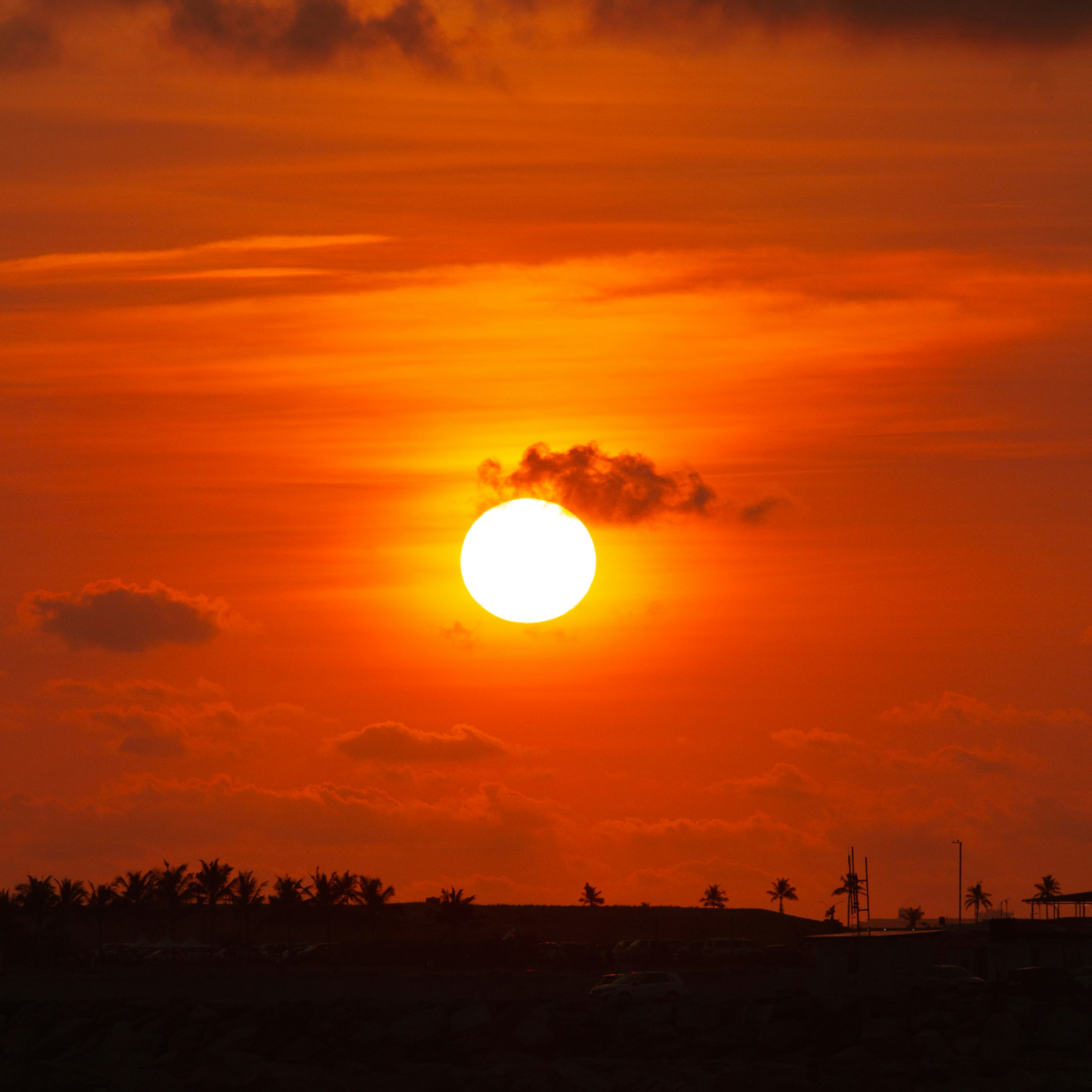 Photo by shamiloumar4968