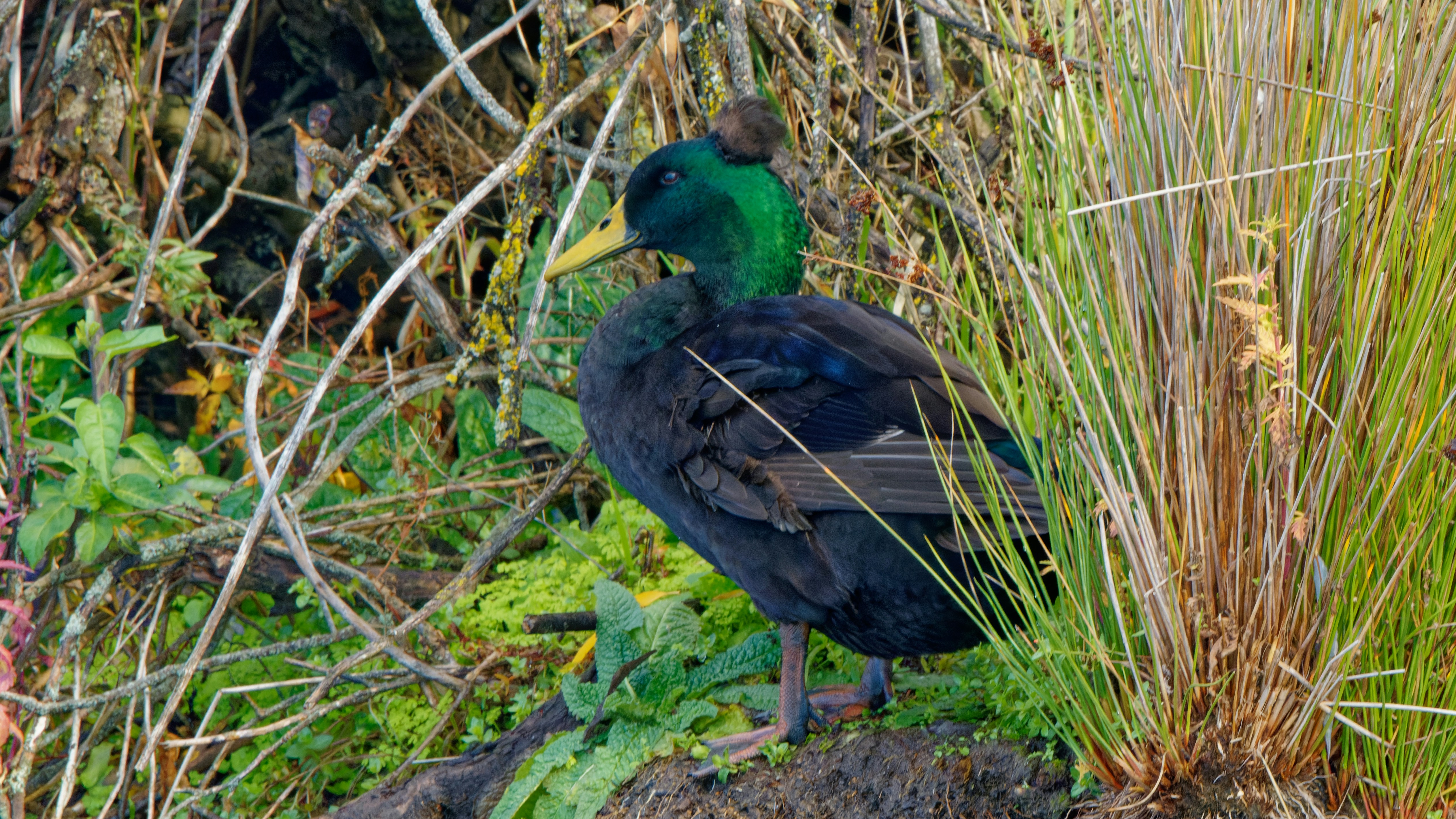 Photo by patrickbigelow_zoom_in