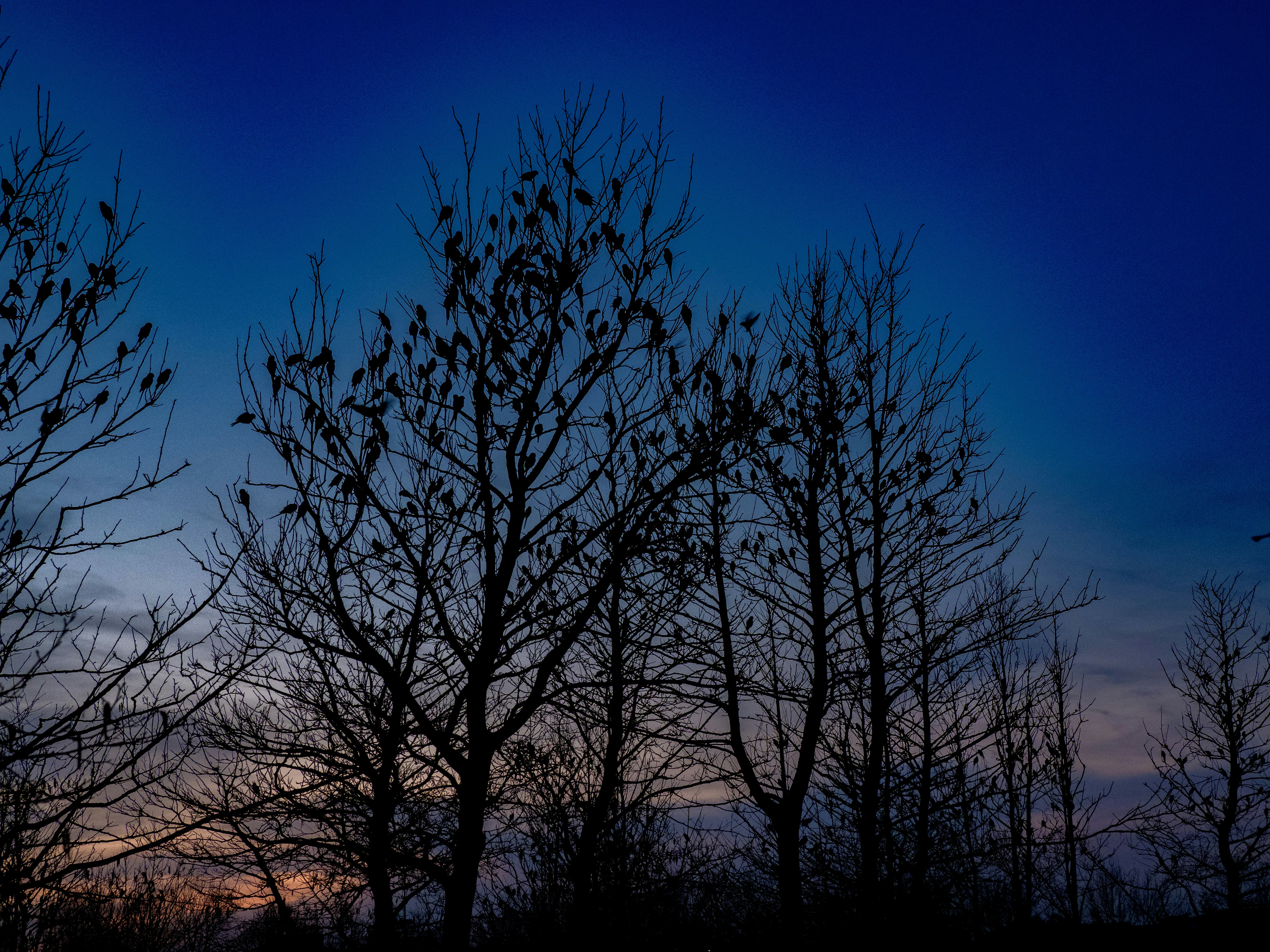 Photo by brett_jordan