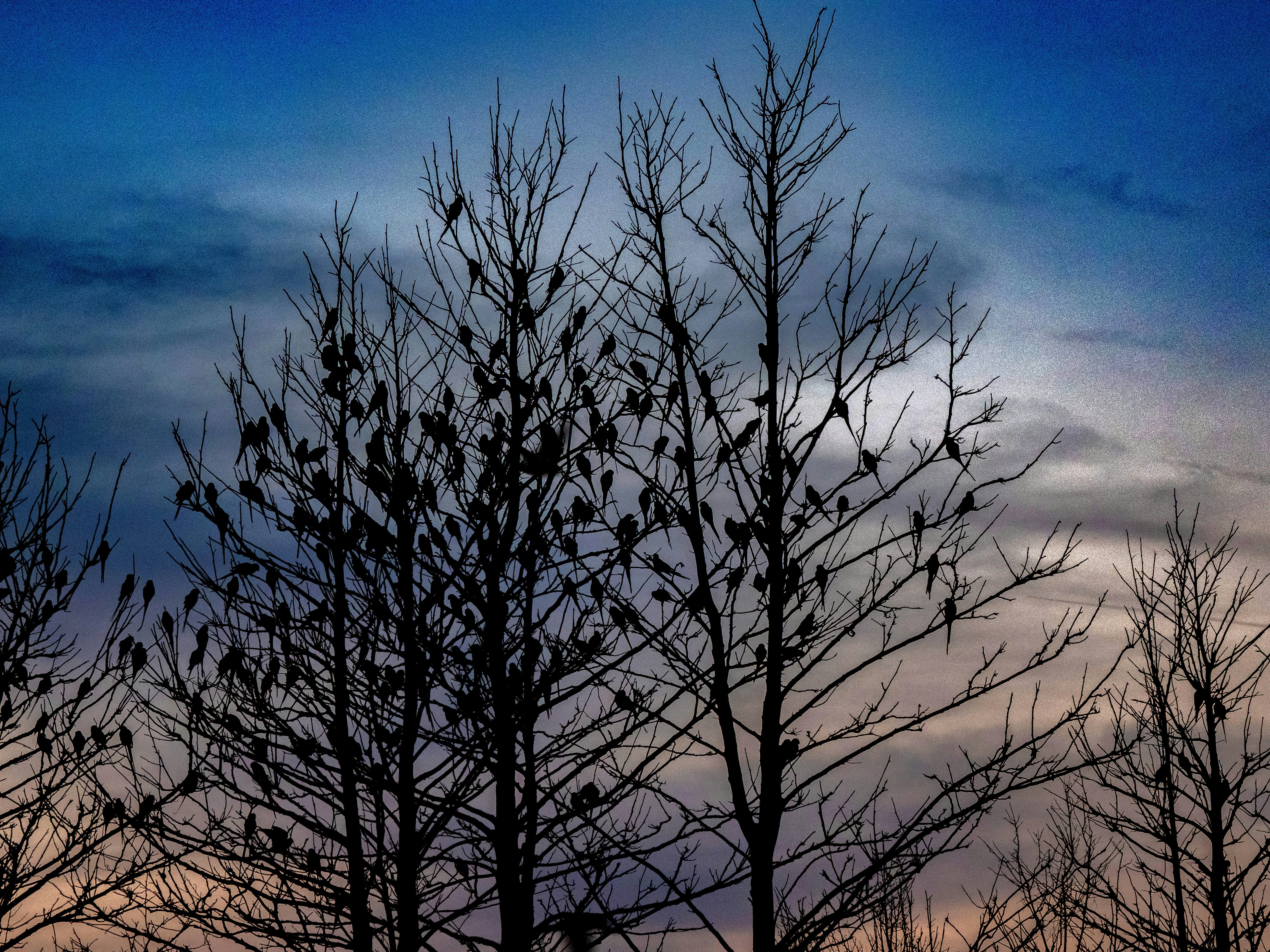 Photo by brett_jordan