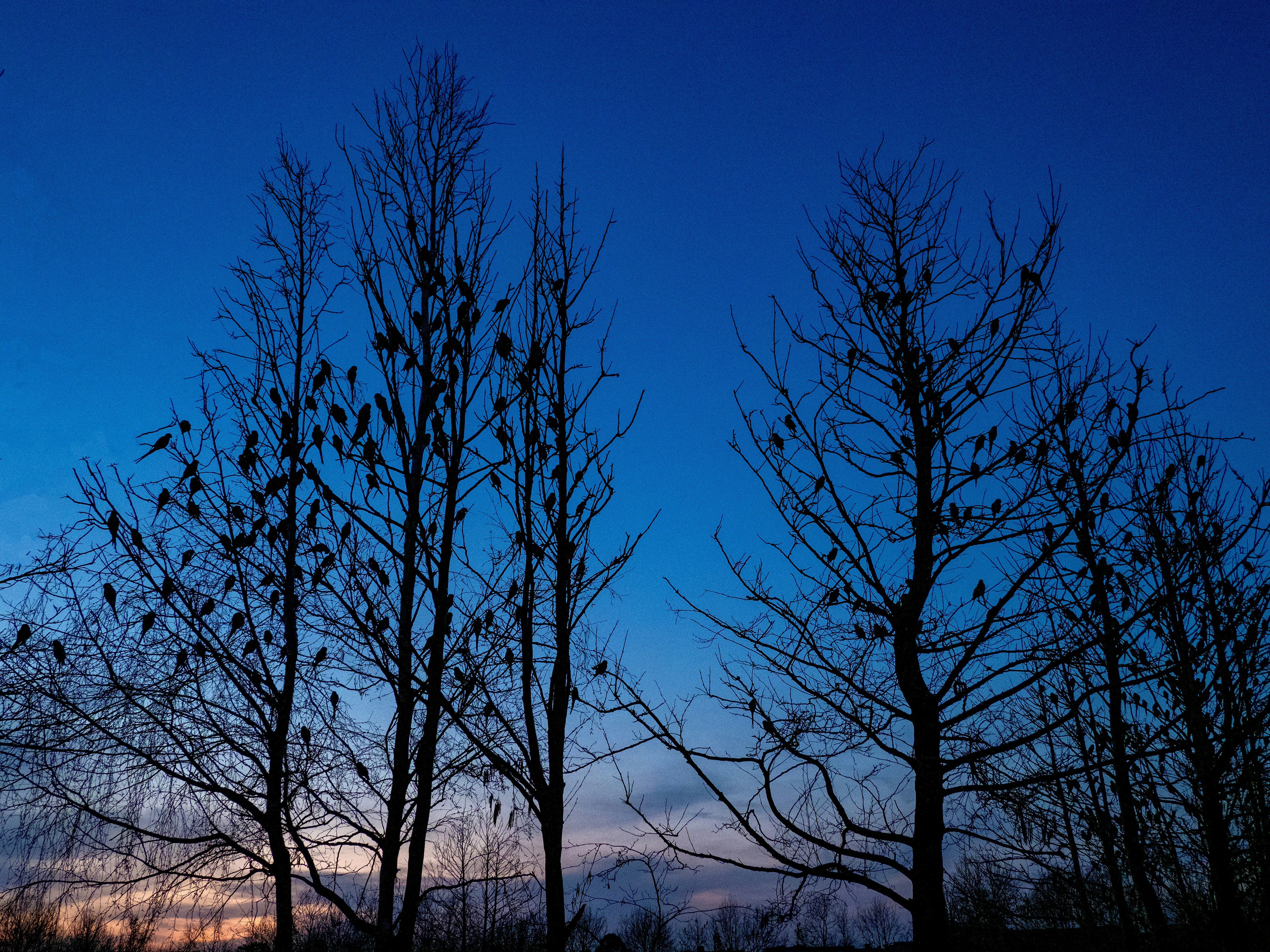 Photo by brett_jordan