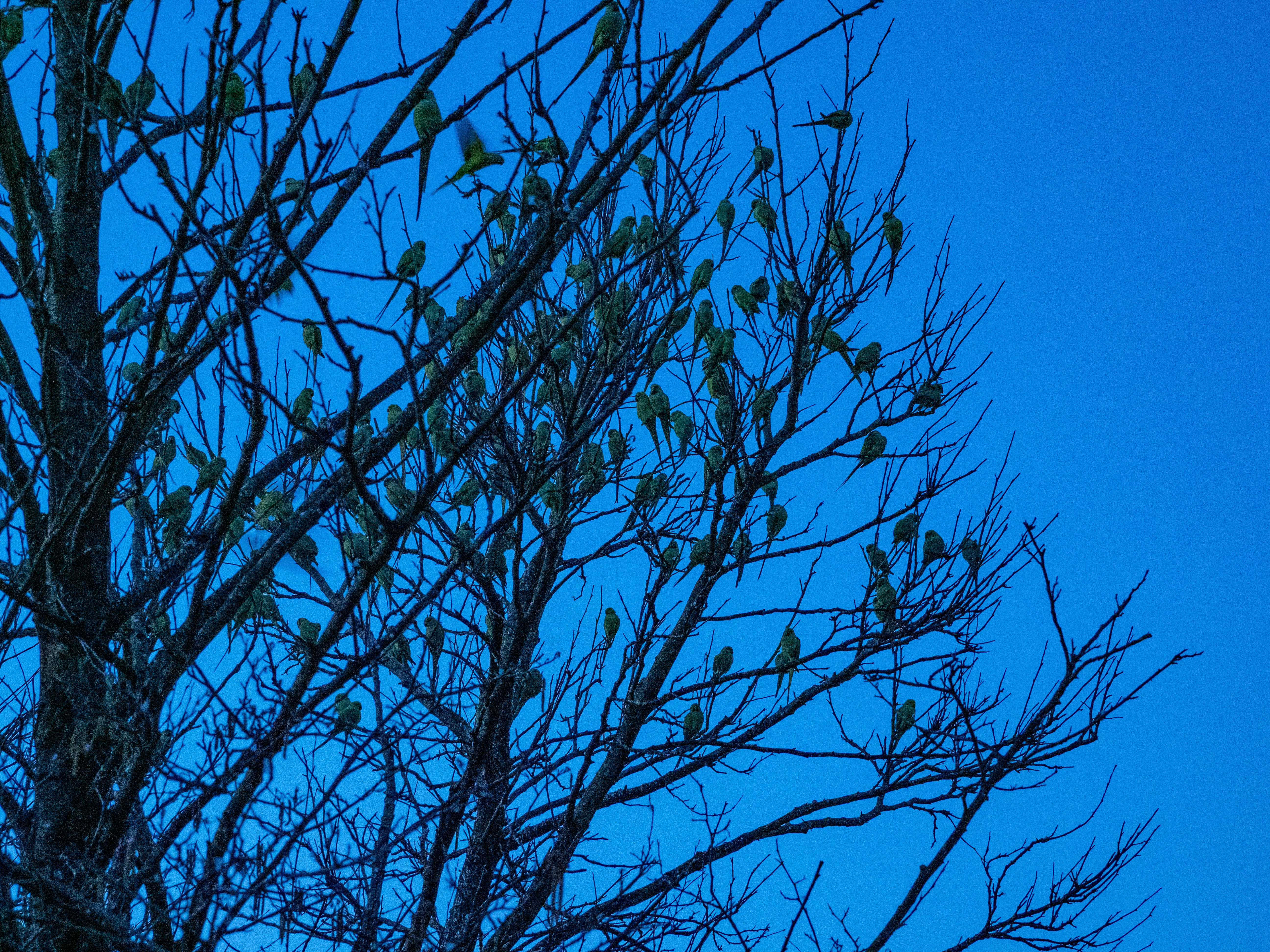 Photo by brett_jordan